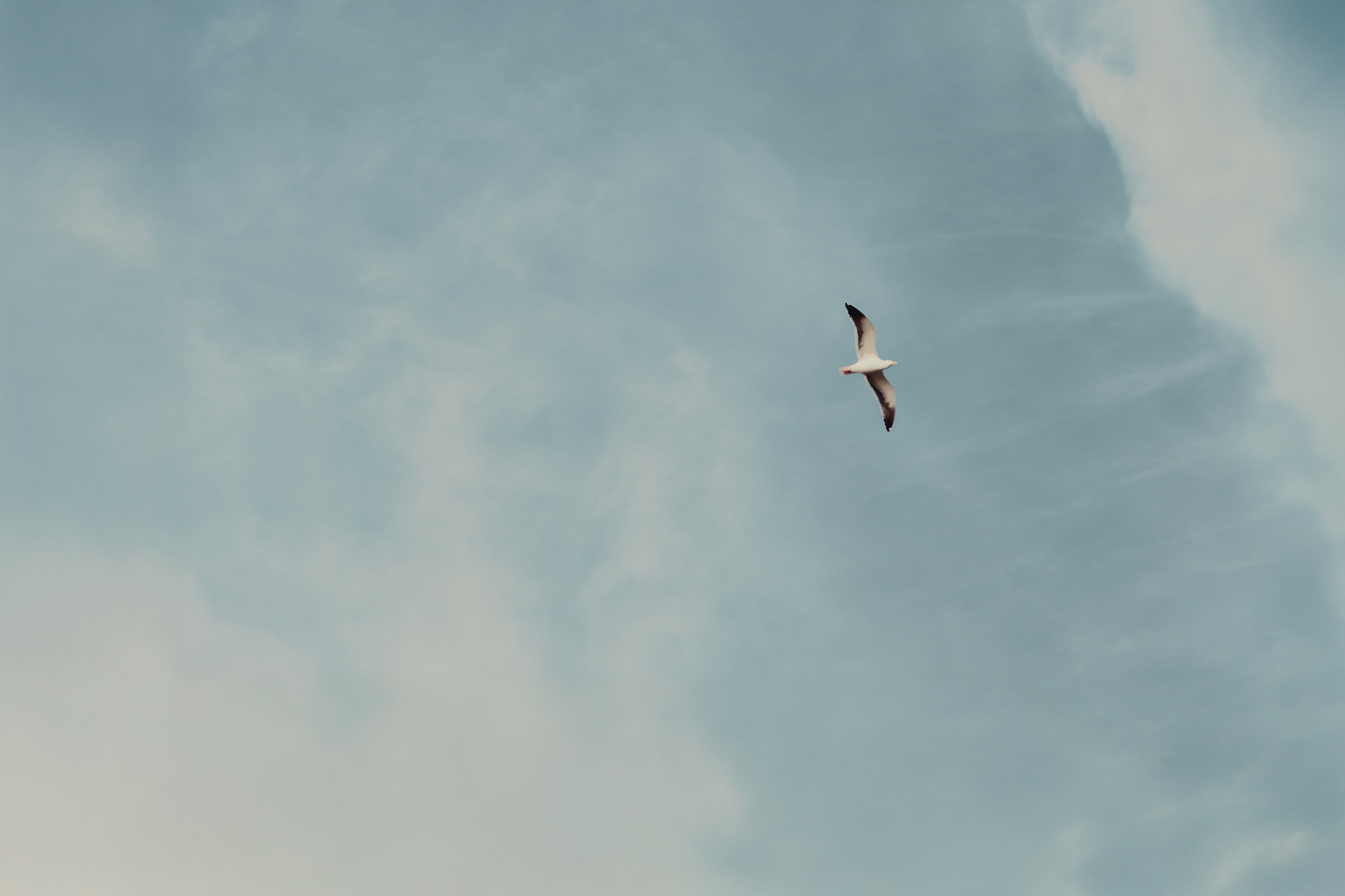 The Laguna Beach Collection