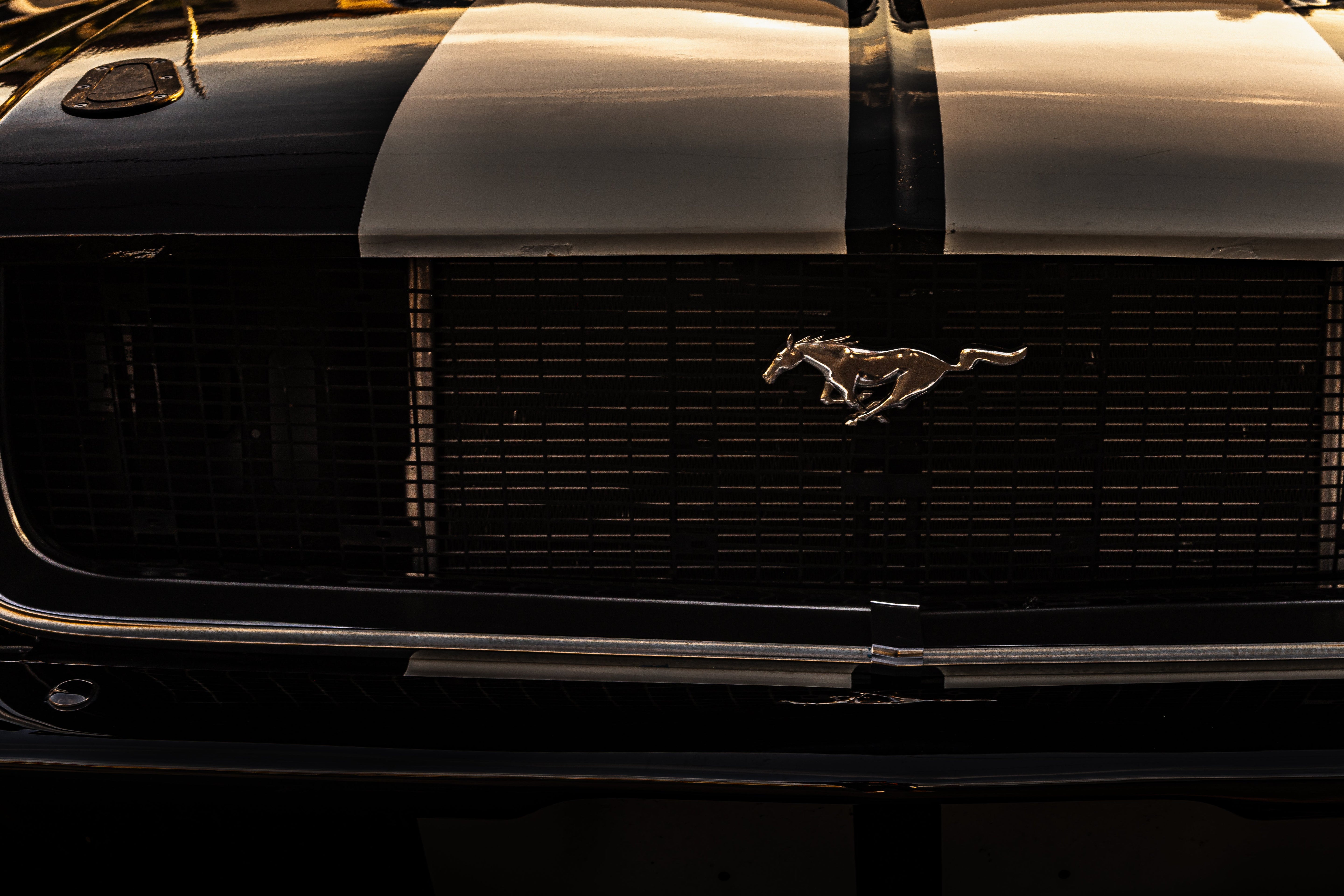 The Mustang Collection