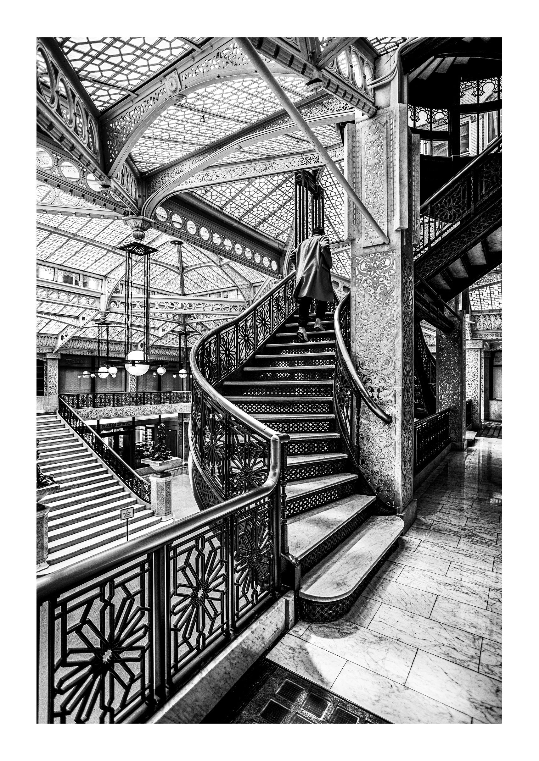 Scaling the Rookery