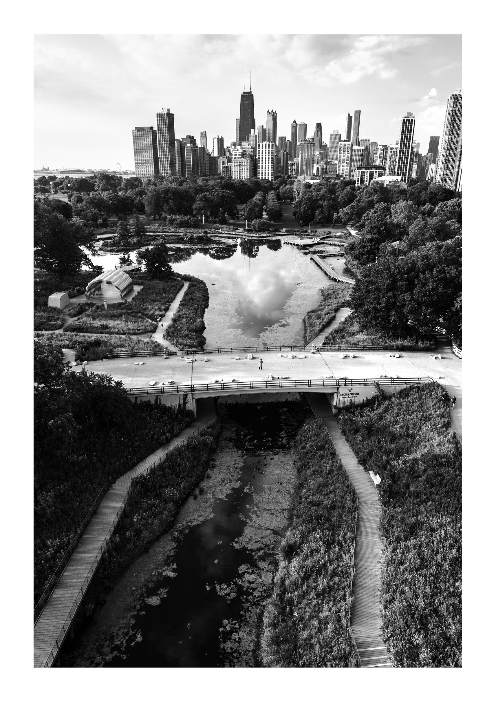 Springtime in Chicago
