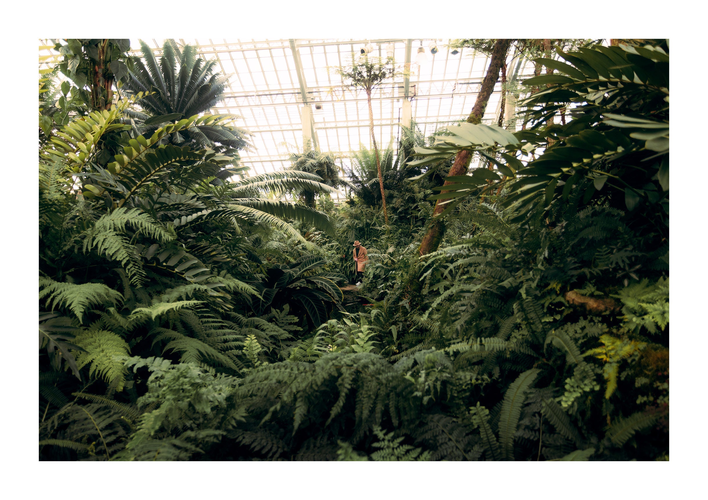 Afternoon at the Conservatory