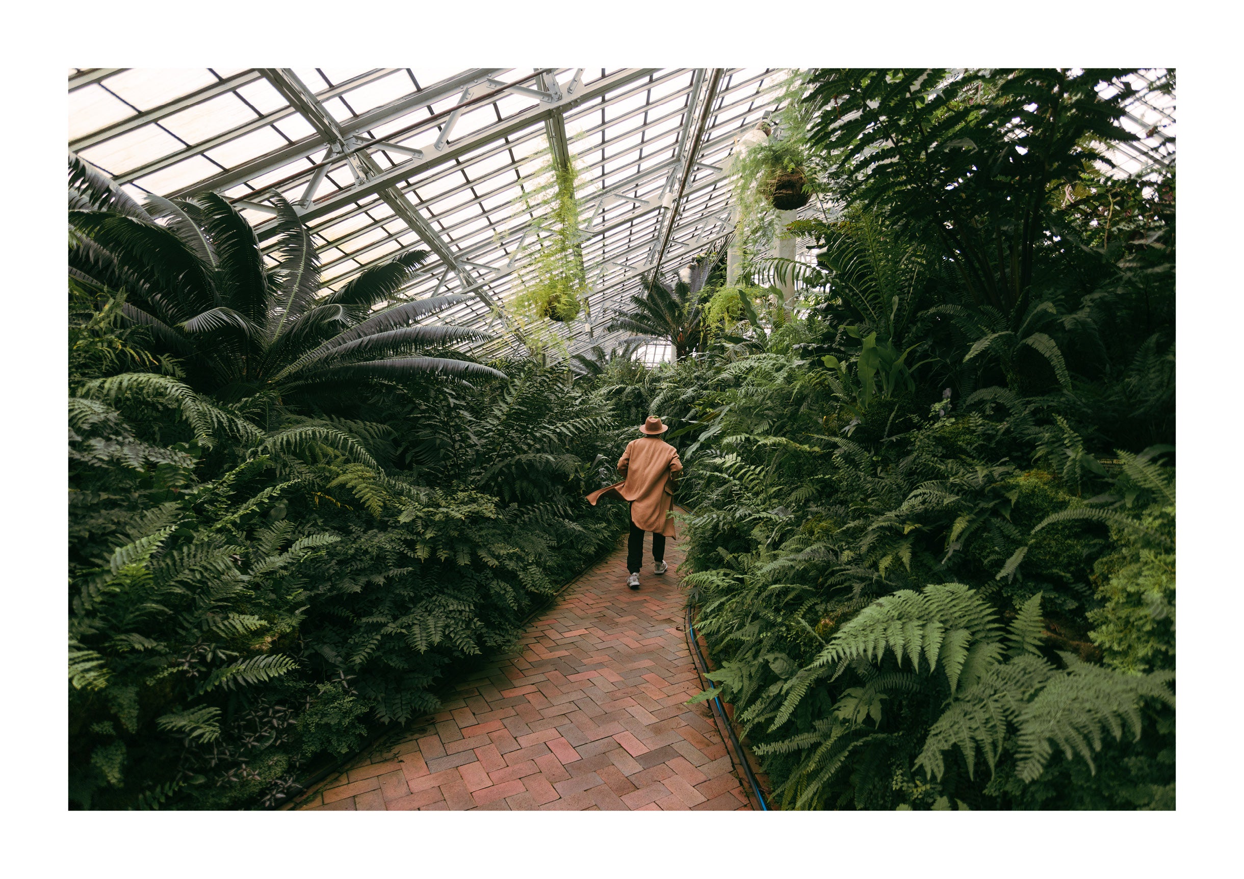 Garfield Park Conservatory