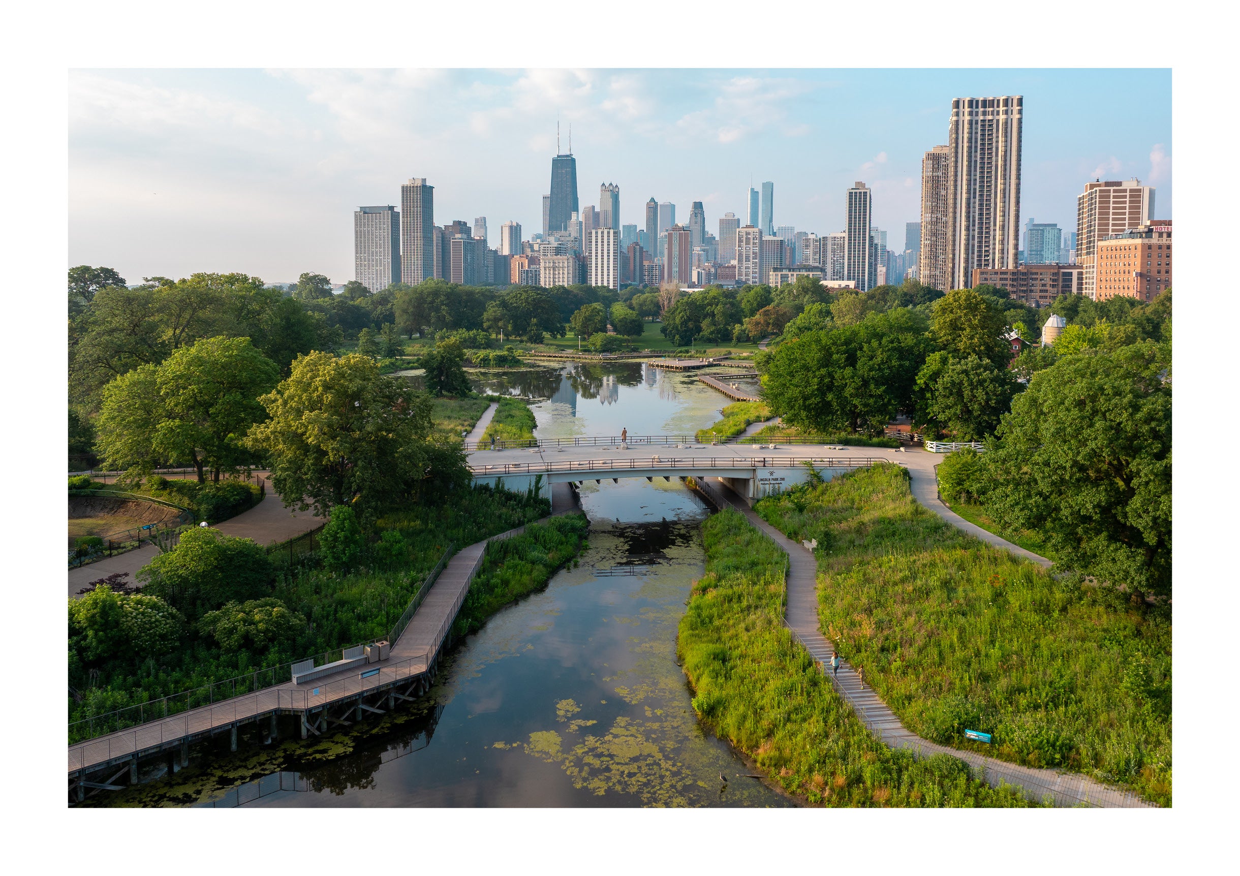 Morning in Lincoln Park