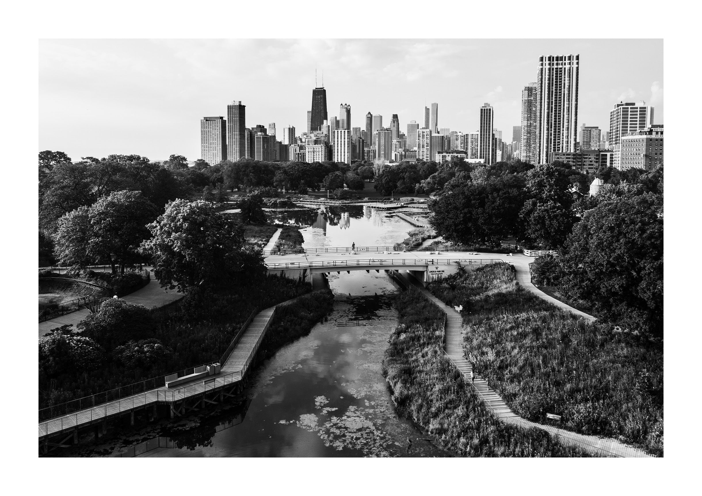 Morning in Lincoln Park