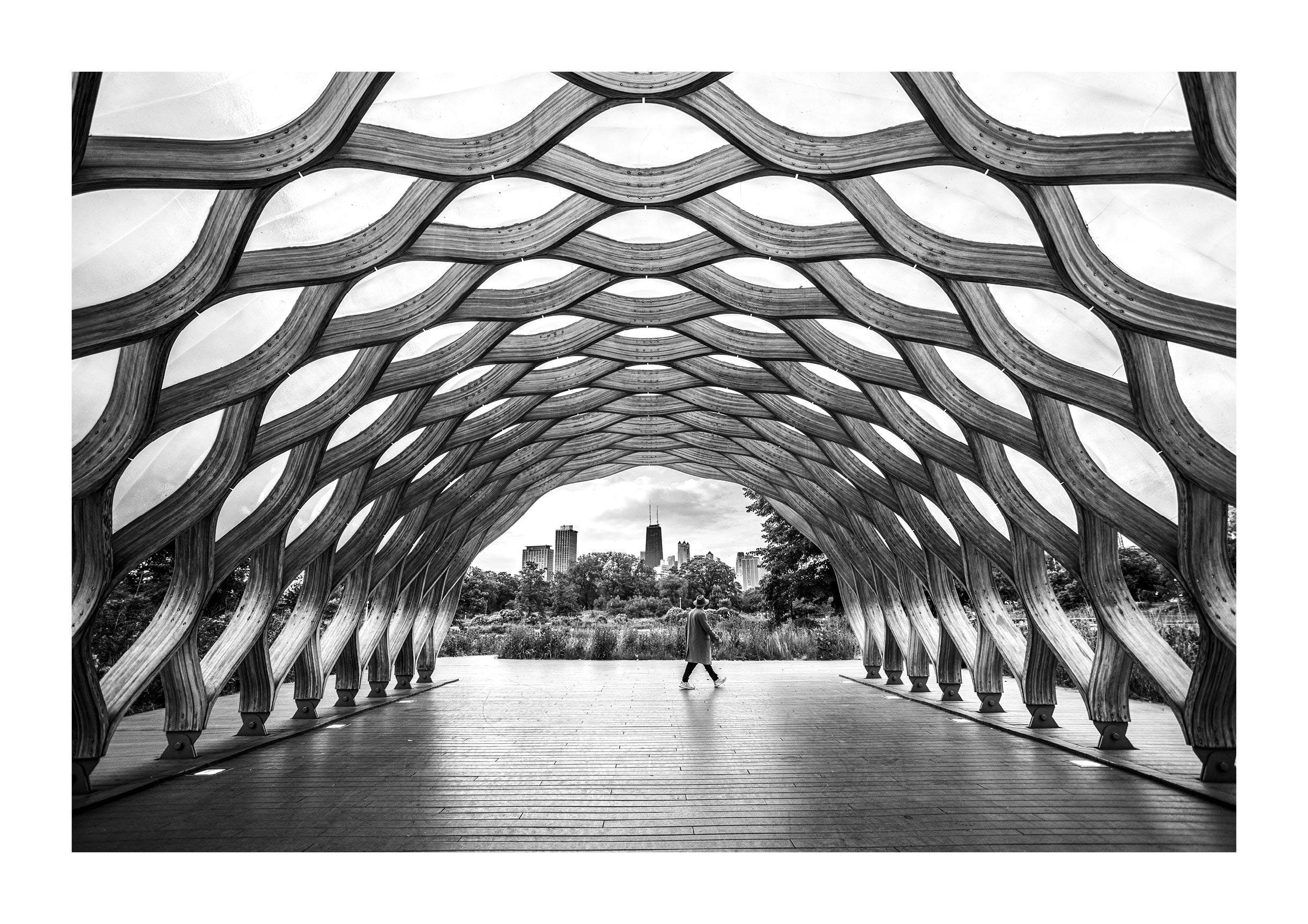 Honeycomb