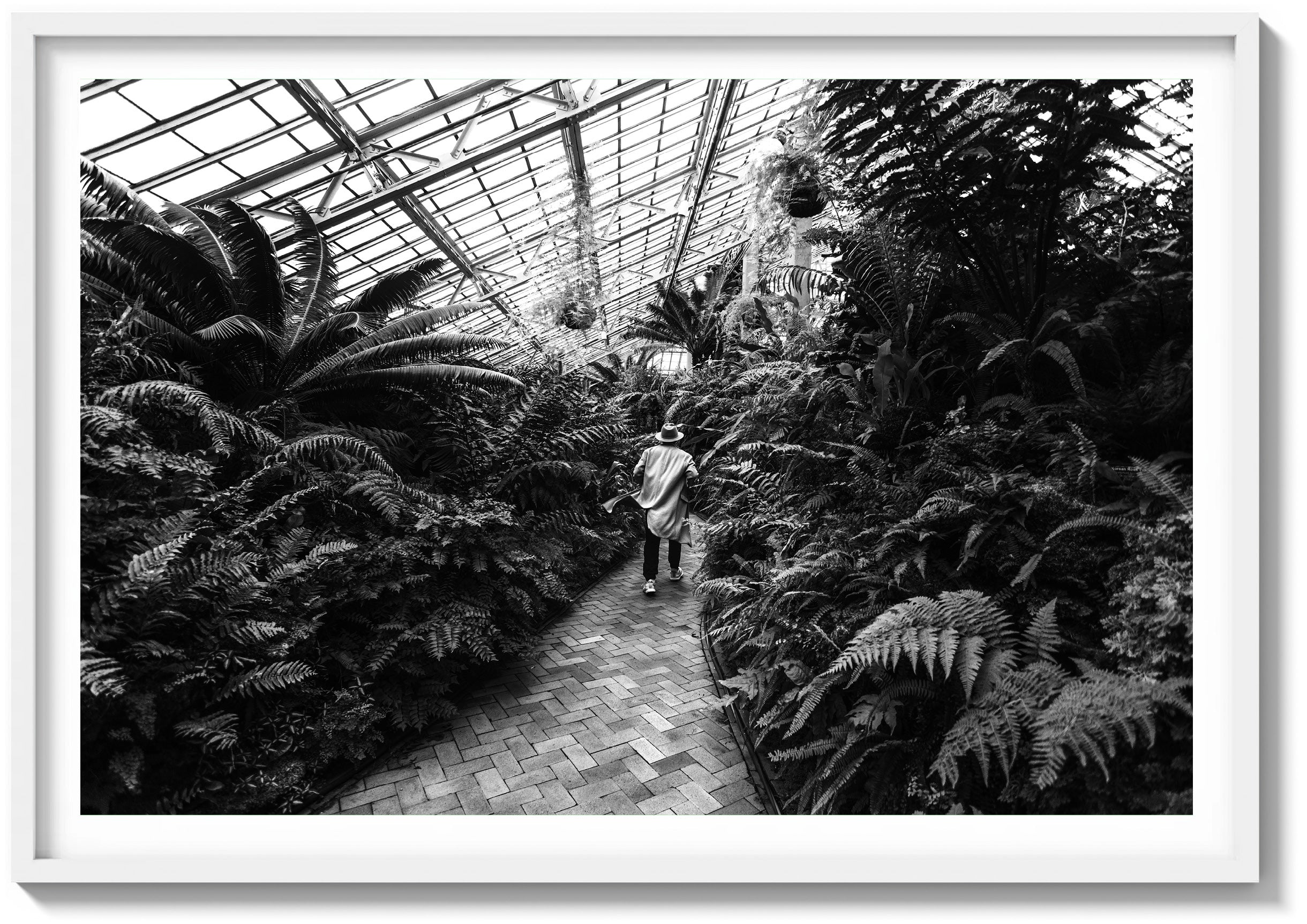 Garfield Park Conservatory