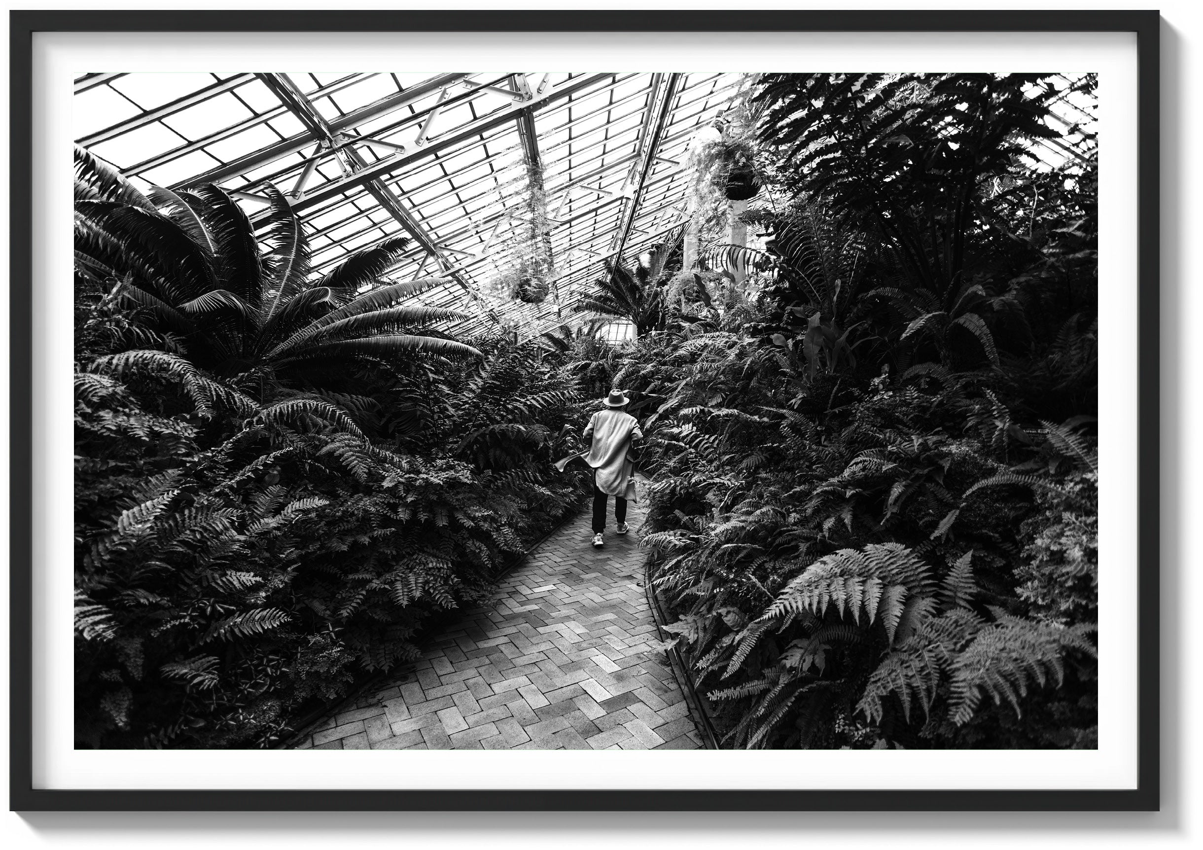 Garfield Park Conservatory