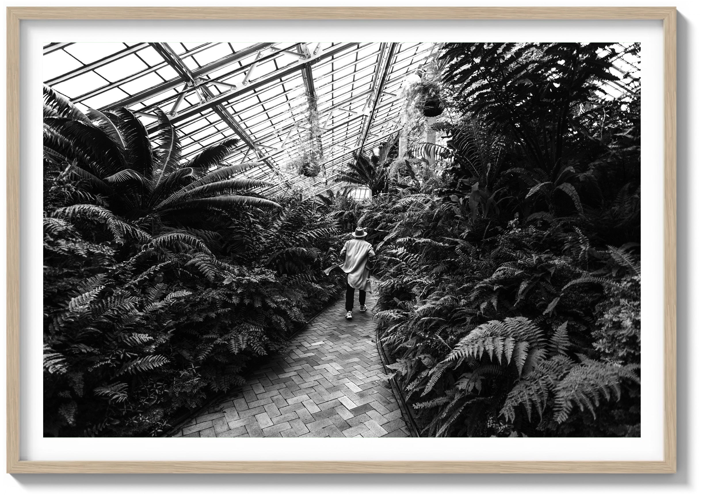 Garfield Park Conservatory