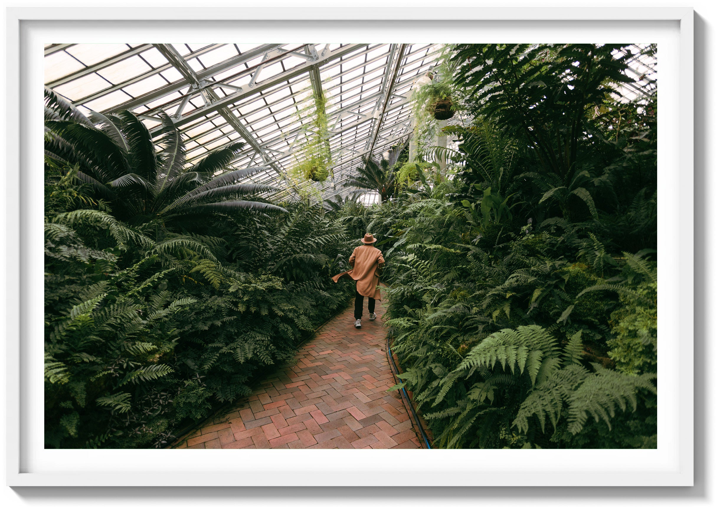 Garfield Park Conservatory