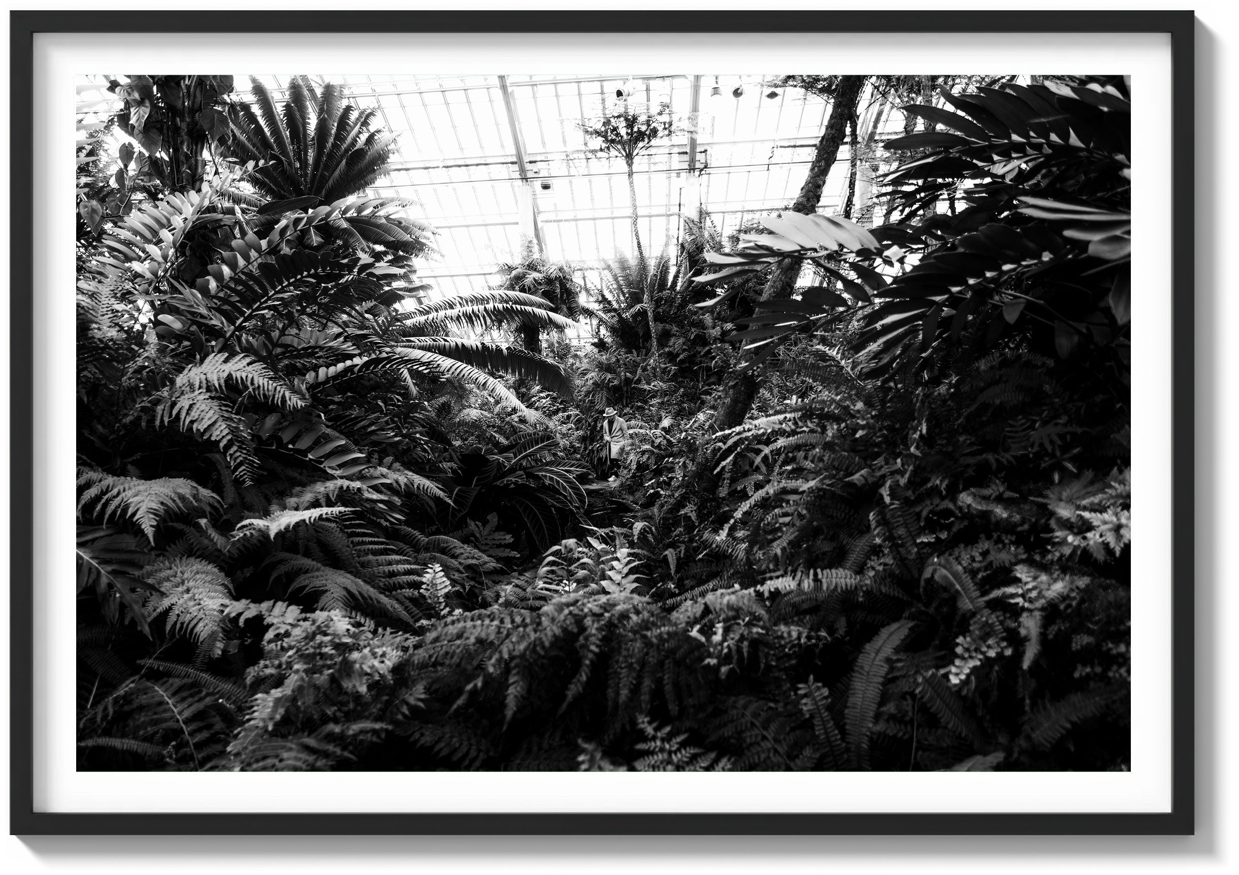 Afternoon at the Conservatory