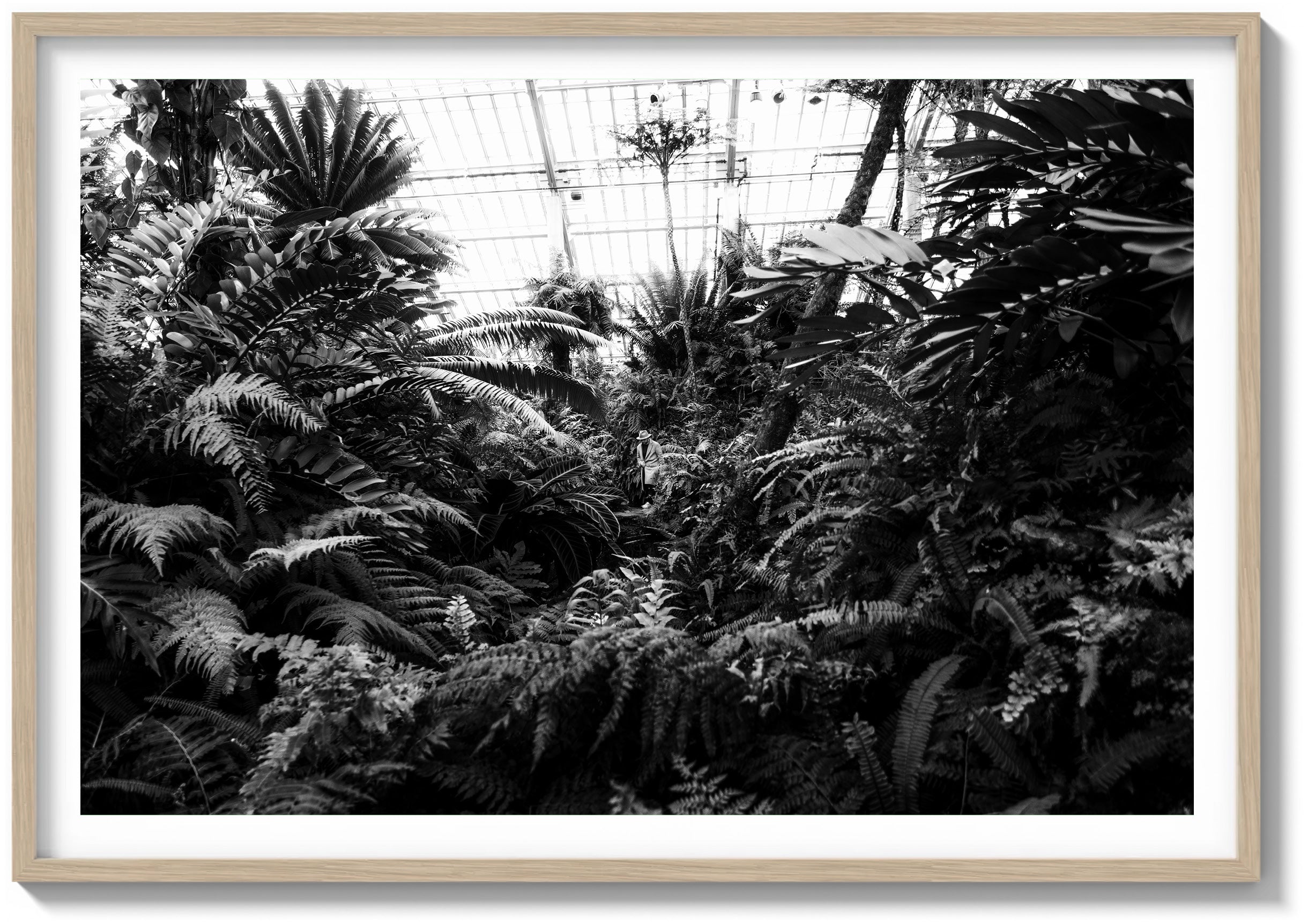 Afternoon at the Conservatory