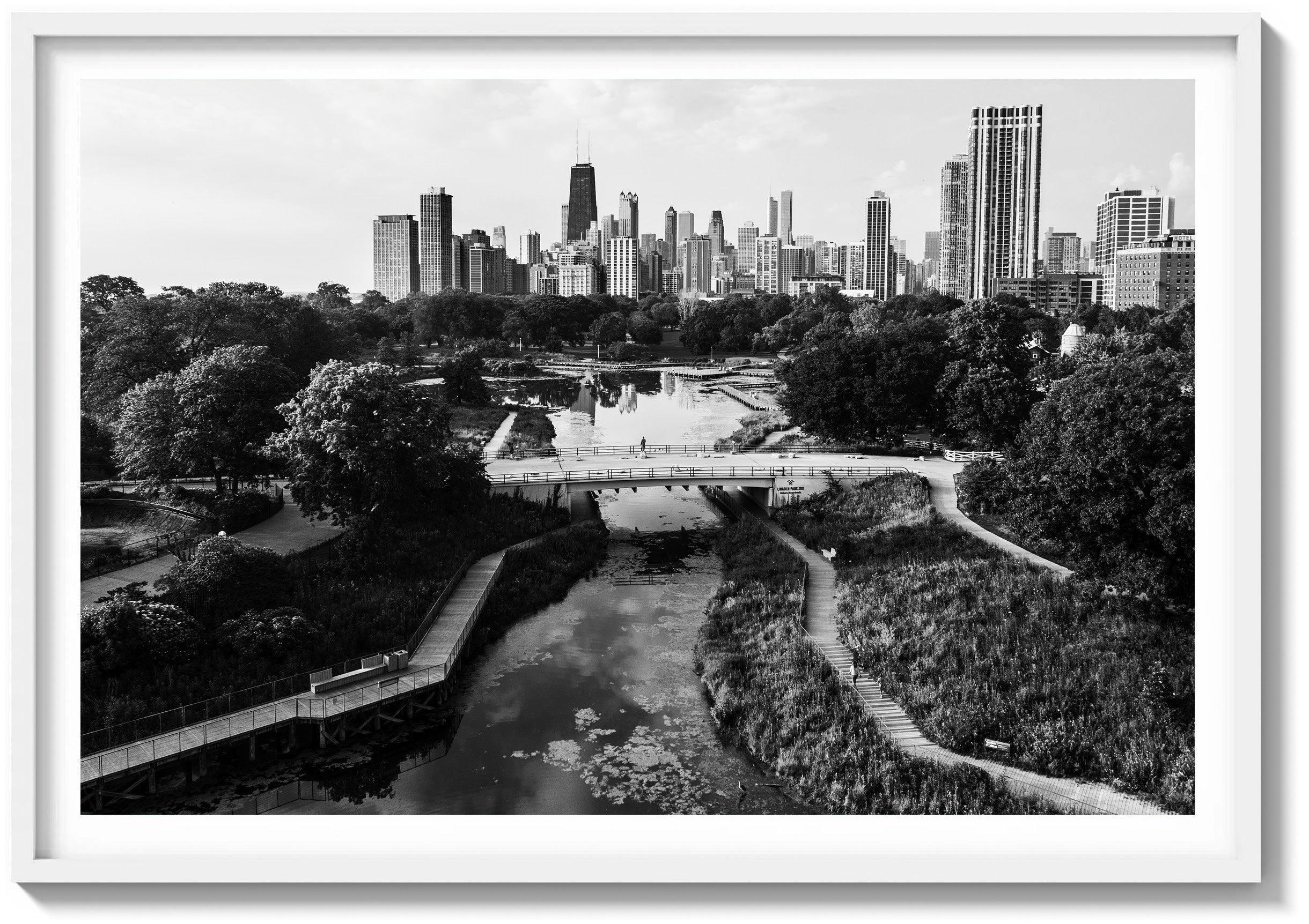 Morning in Lincoln Park