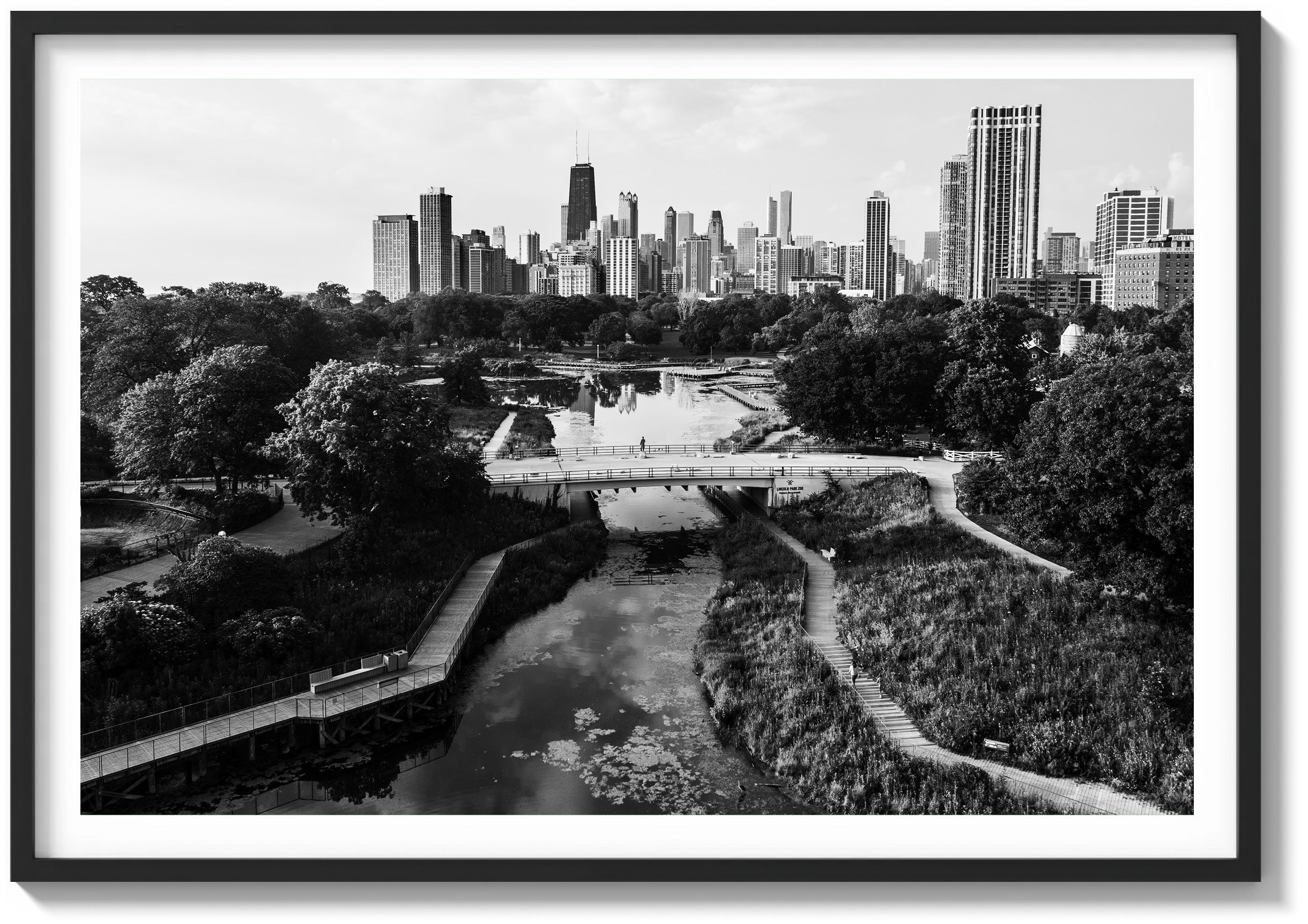 Morning in Lincoln Park