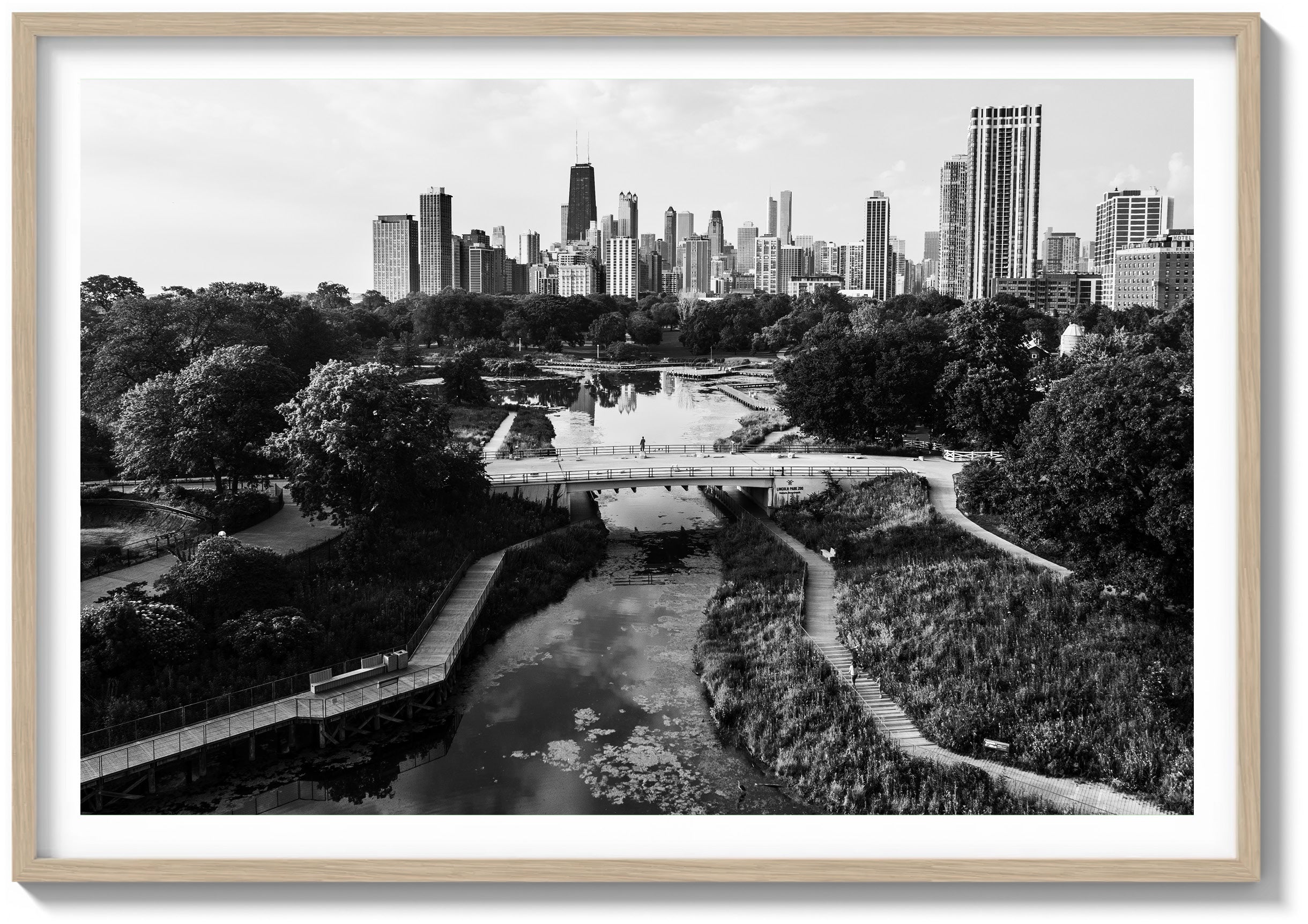 Morning in Lincoln Park