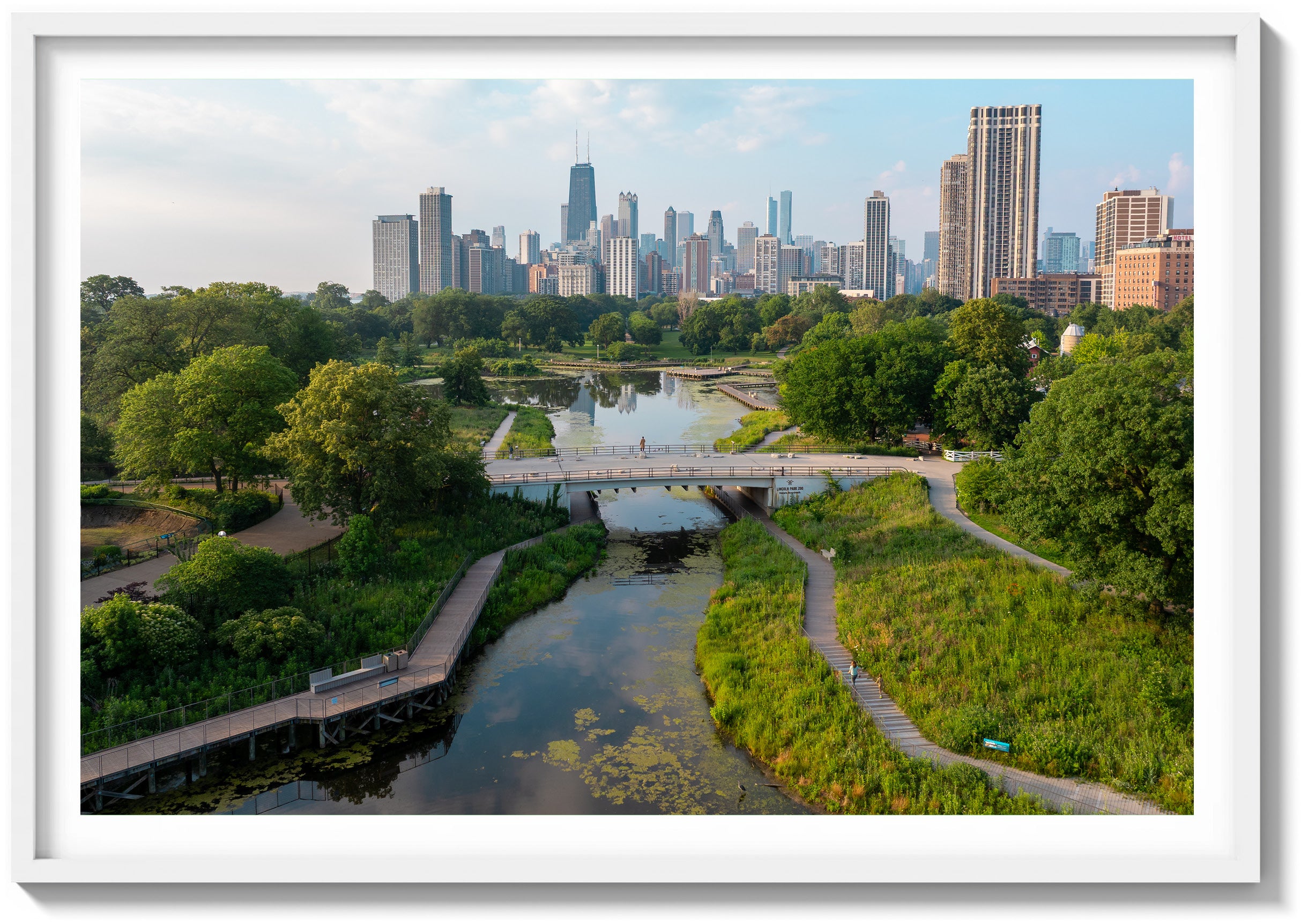 Morning in Lincoln Park