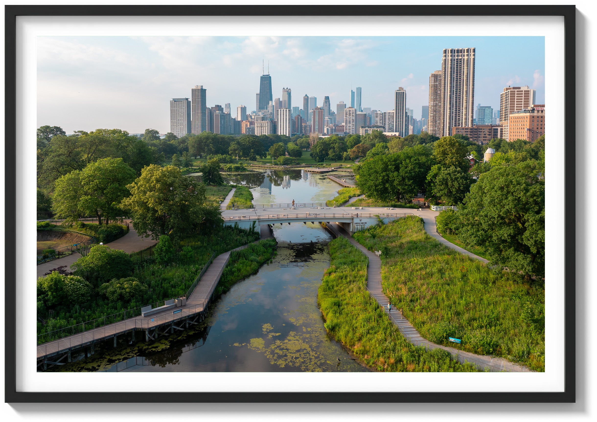 Morning in Lincoln Park