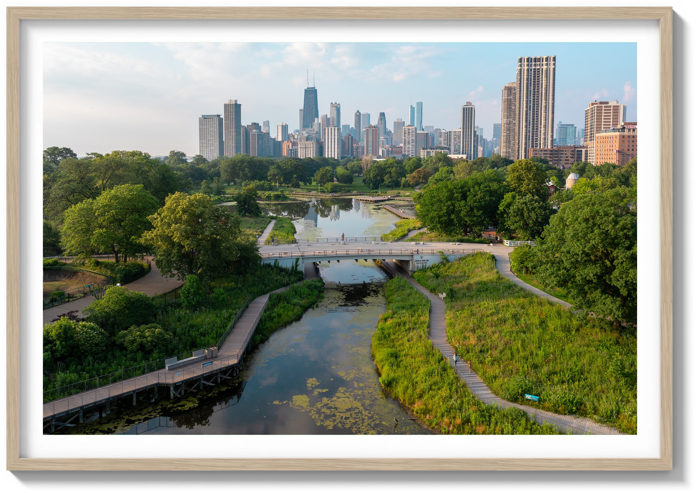 Morning in Lincoln Park