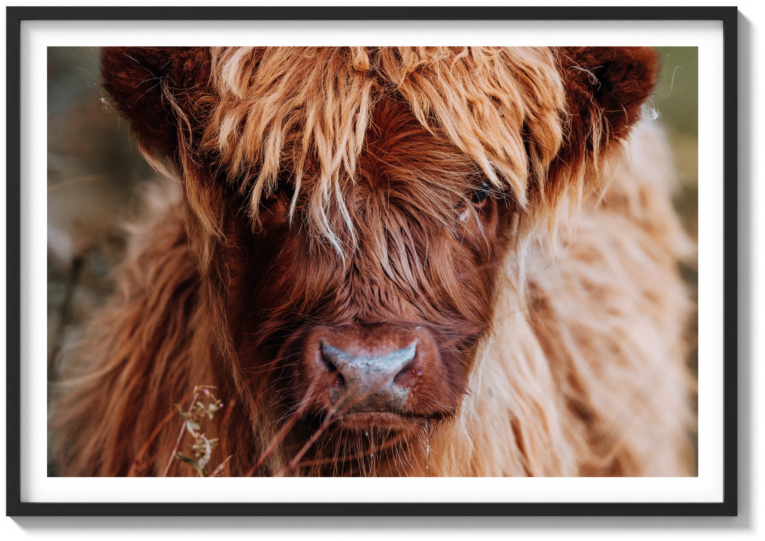 Icon of the Highlands