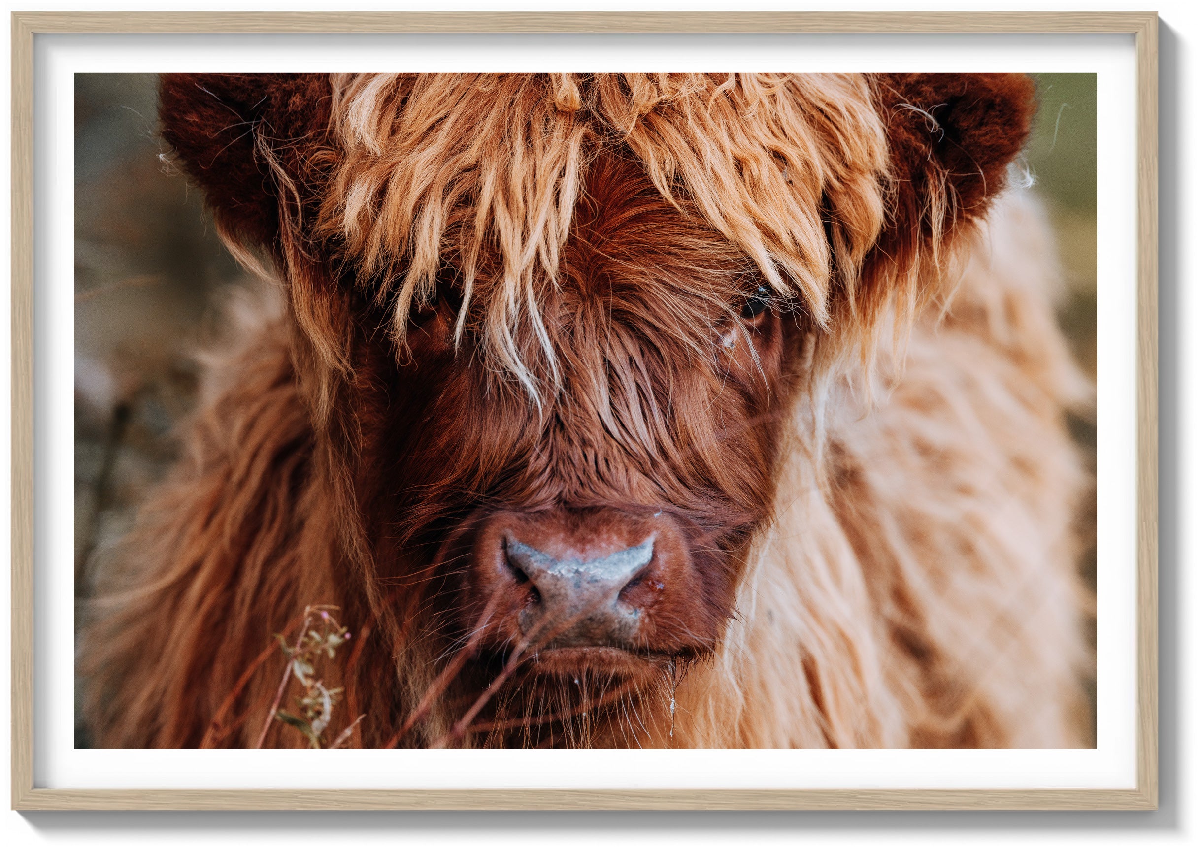 Icon of the Highlands