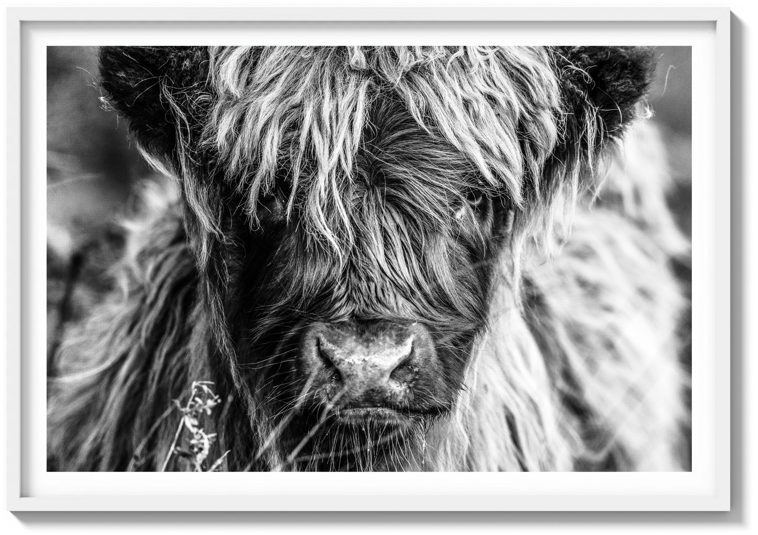 Icon of the Highlands