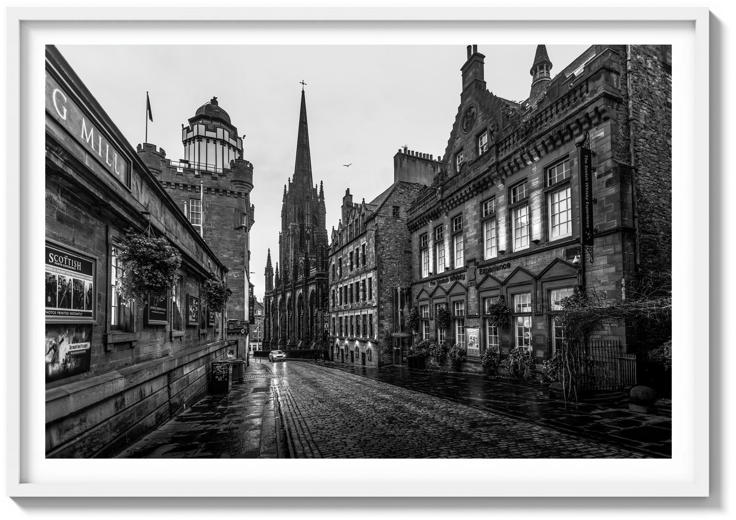 Early Morning On Castle Hill