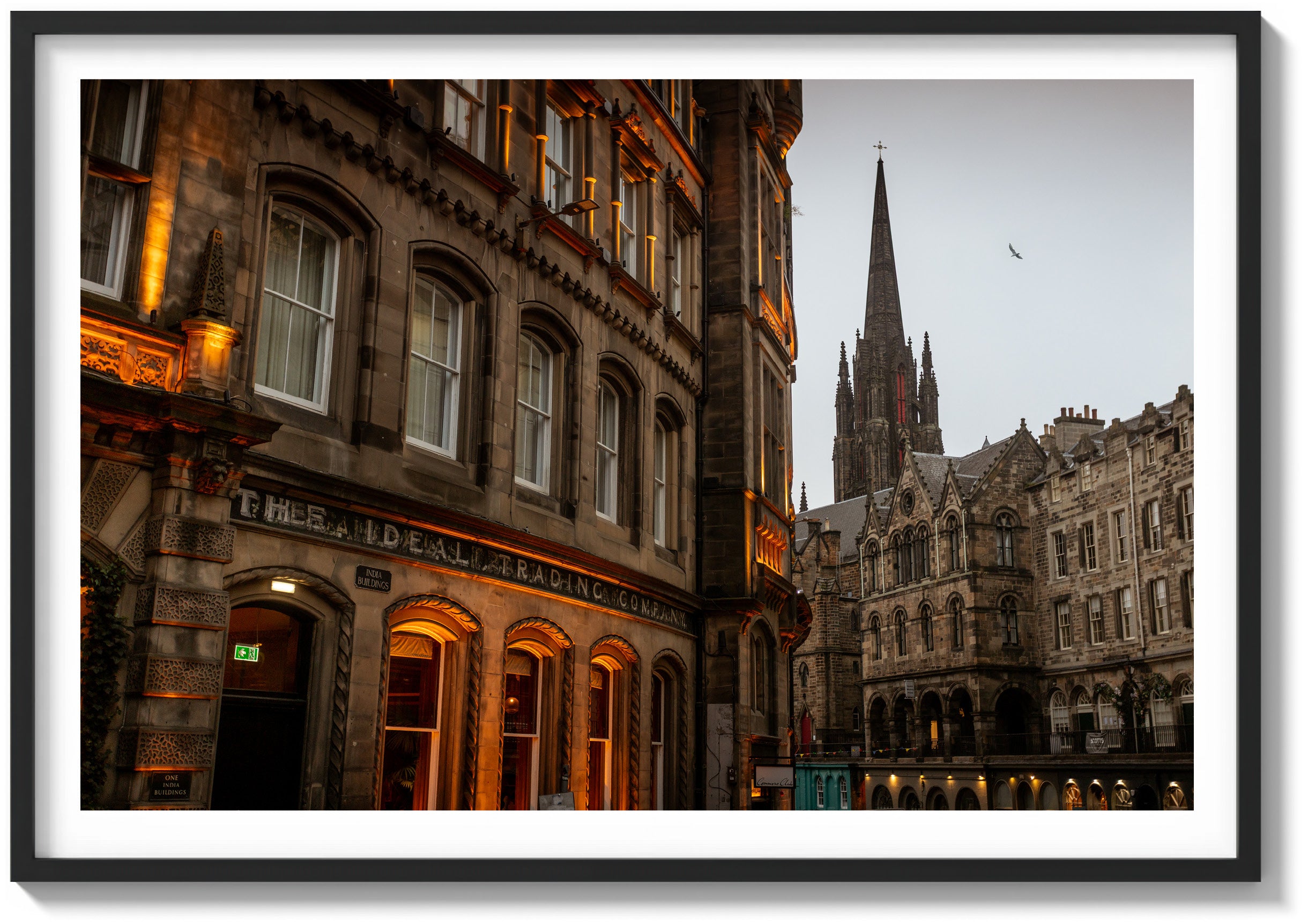 The Ideal Trading Co.