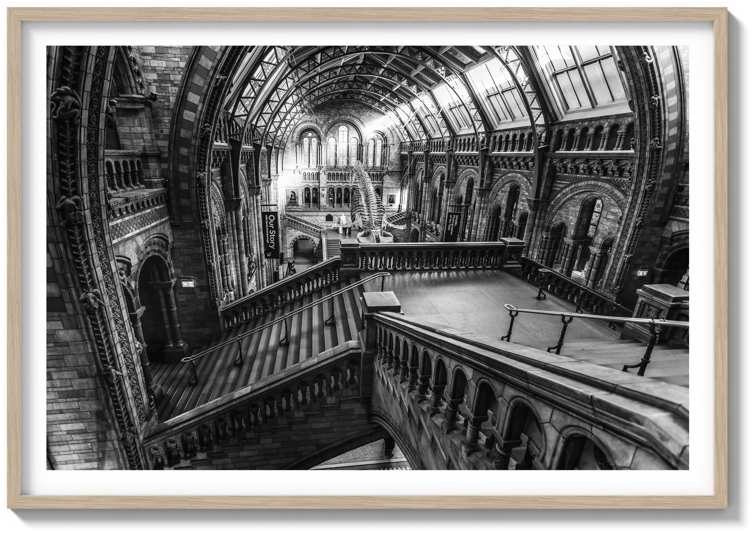 Ascending the History Museum