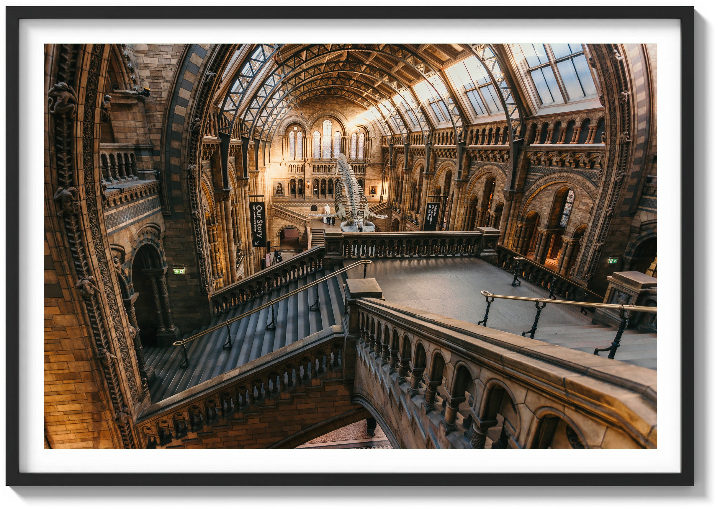 Ascending the History Museum