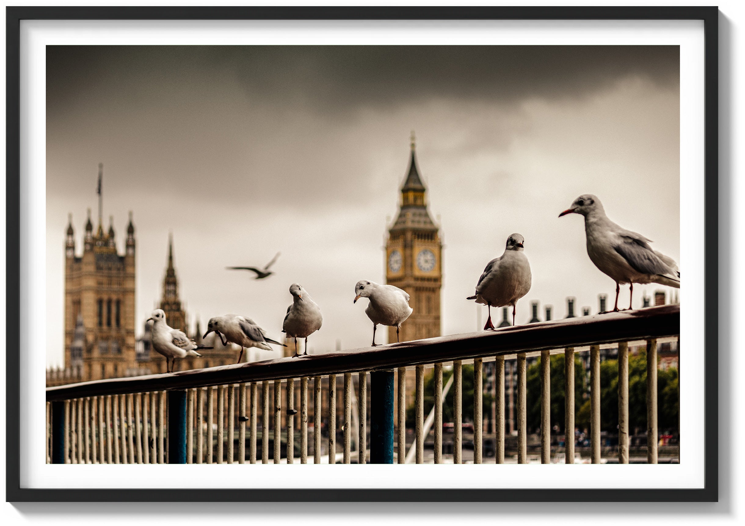 Eyes of the Thames
