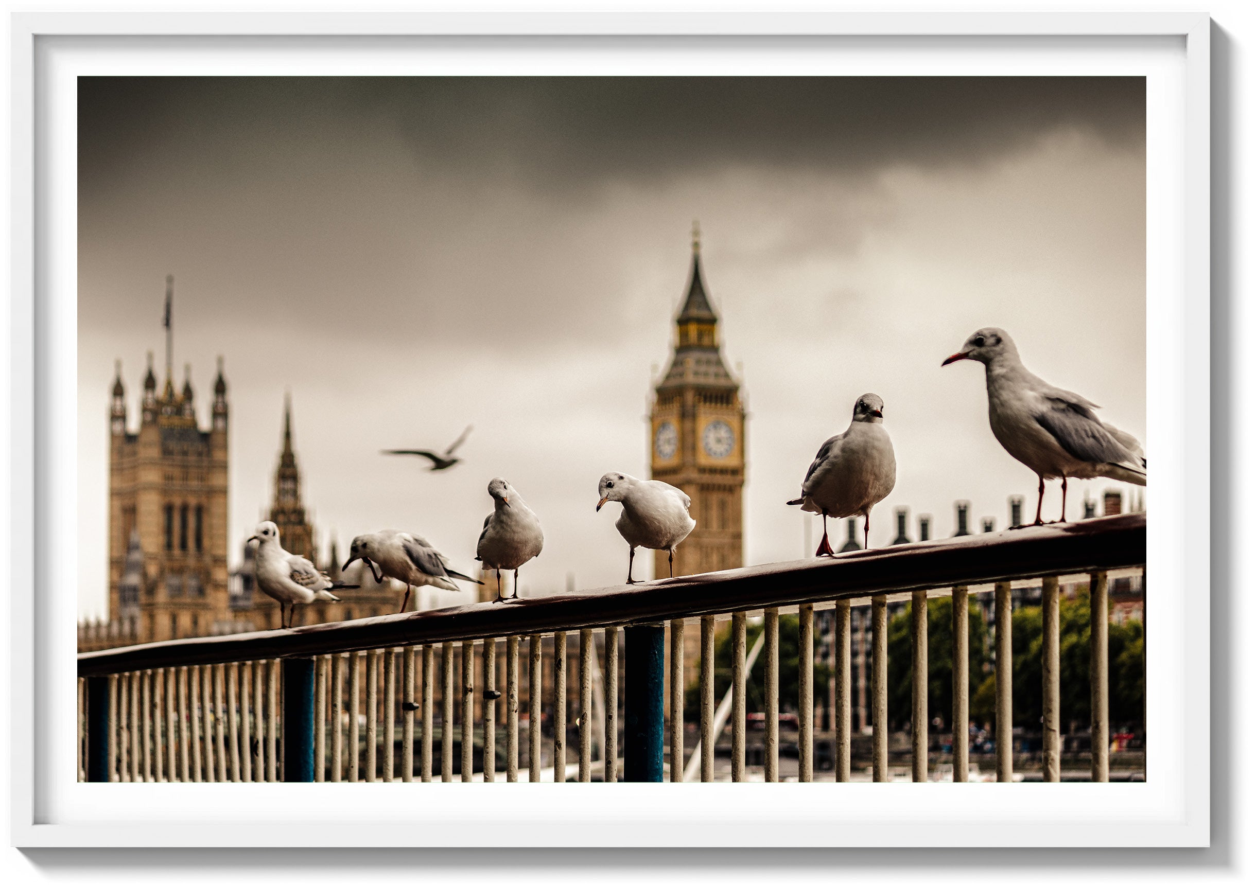 Eyes of the Thames