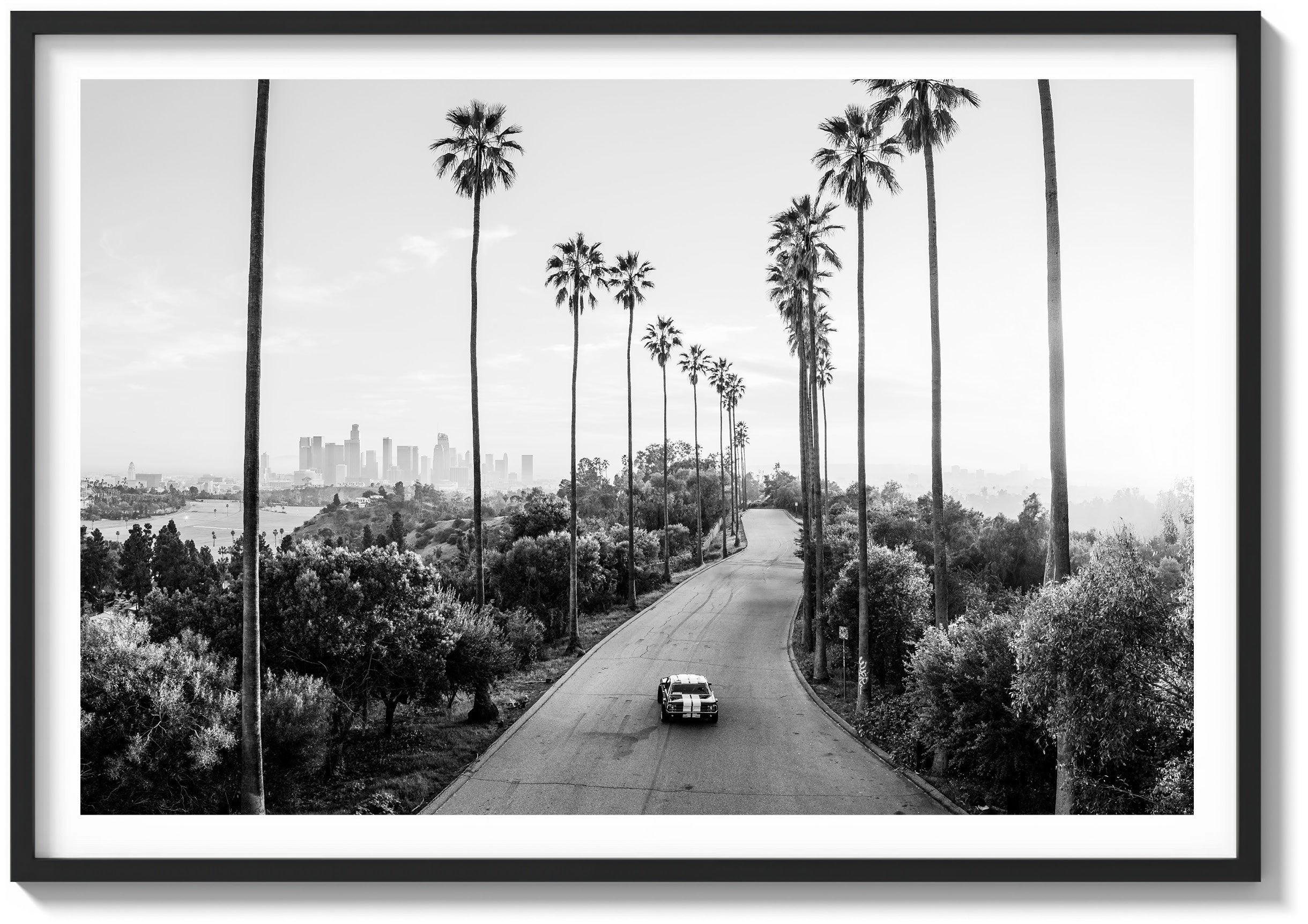 California Forever