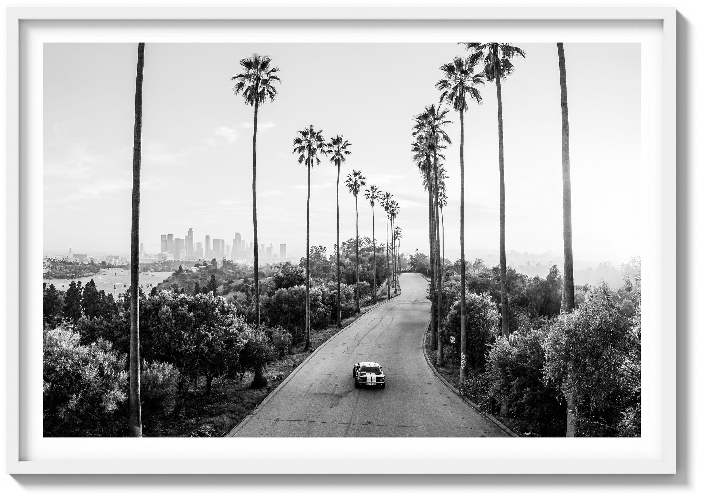 California Forever