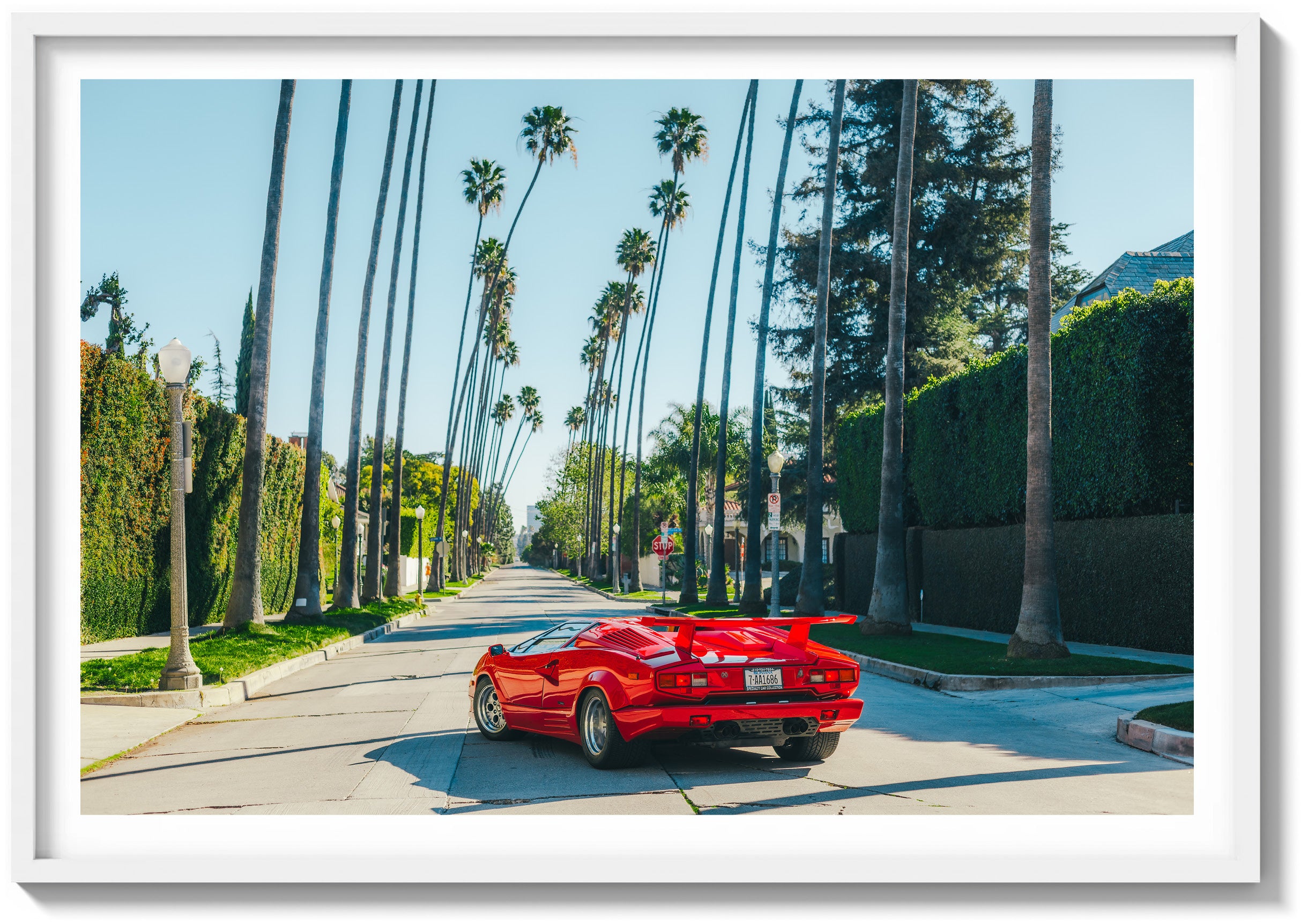 Beast of Beverly Hills