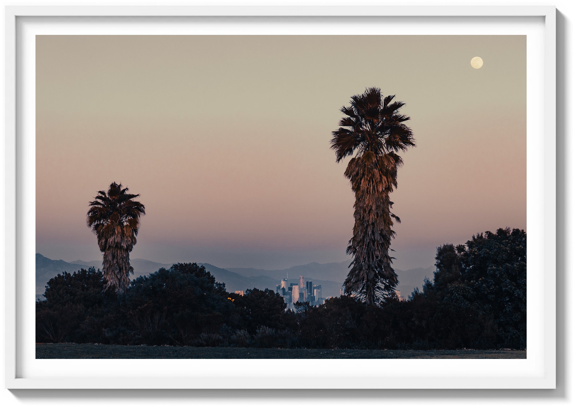 Park Palms