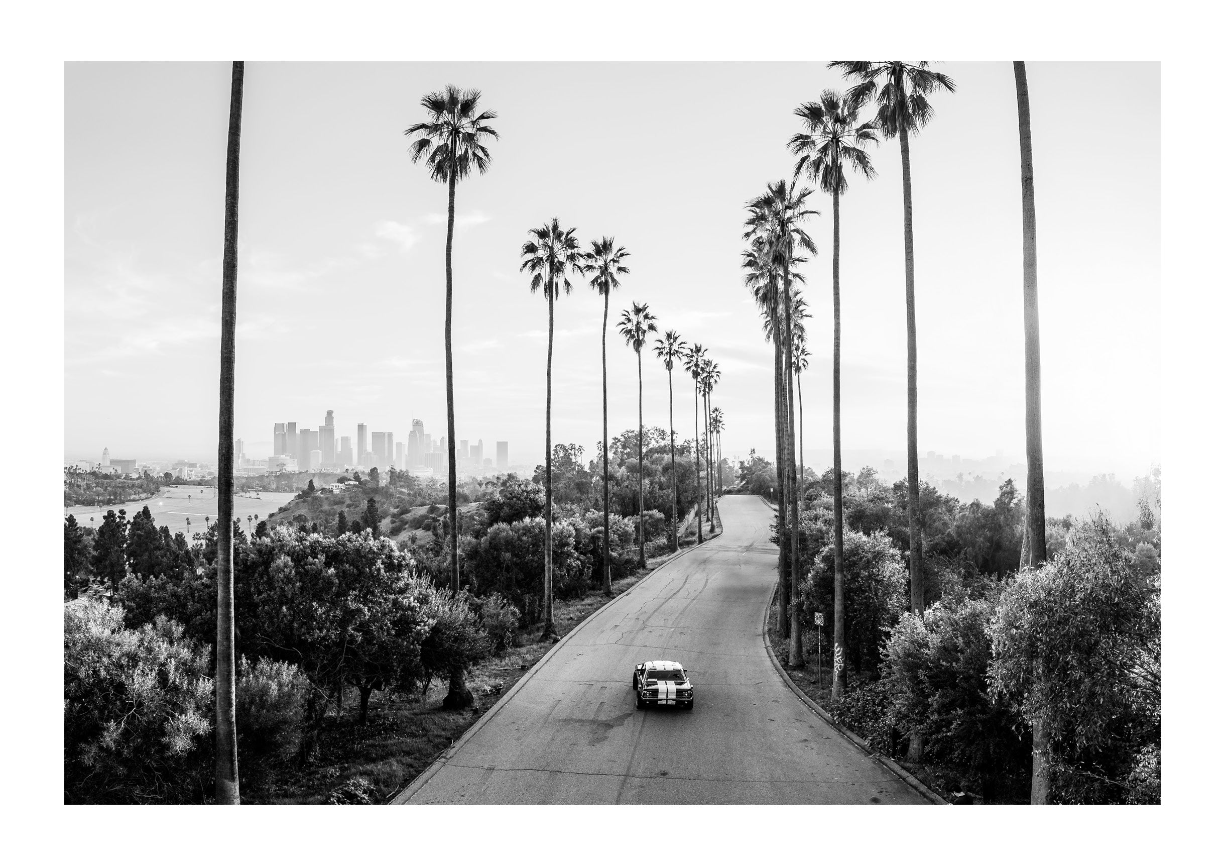 California Forever