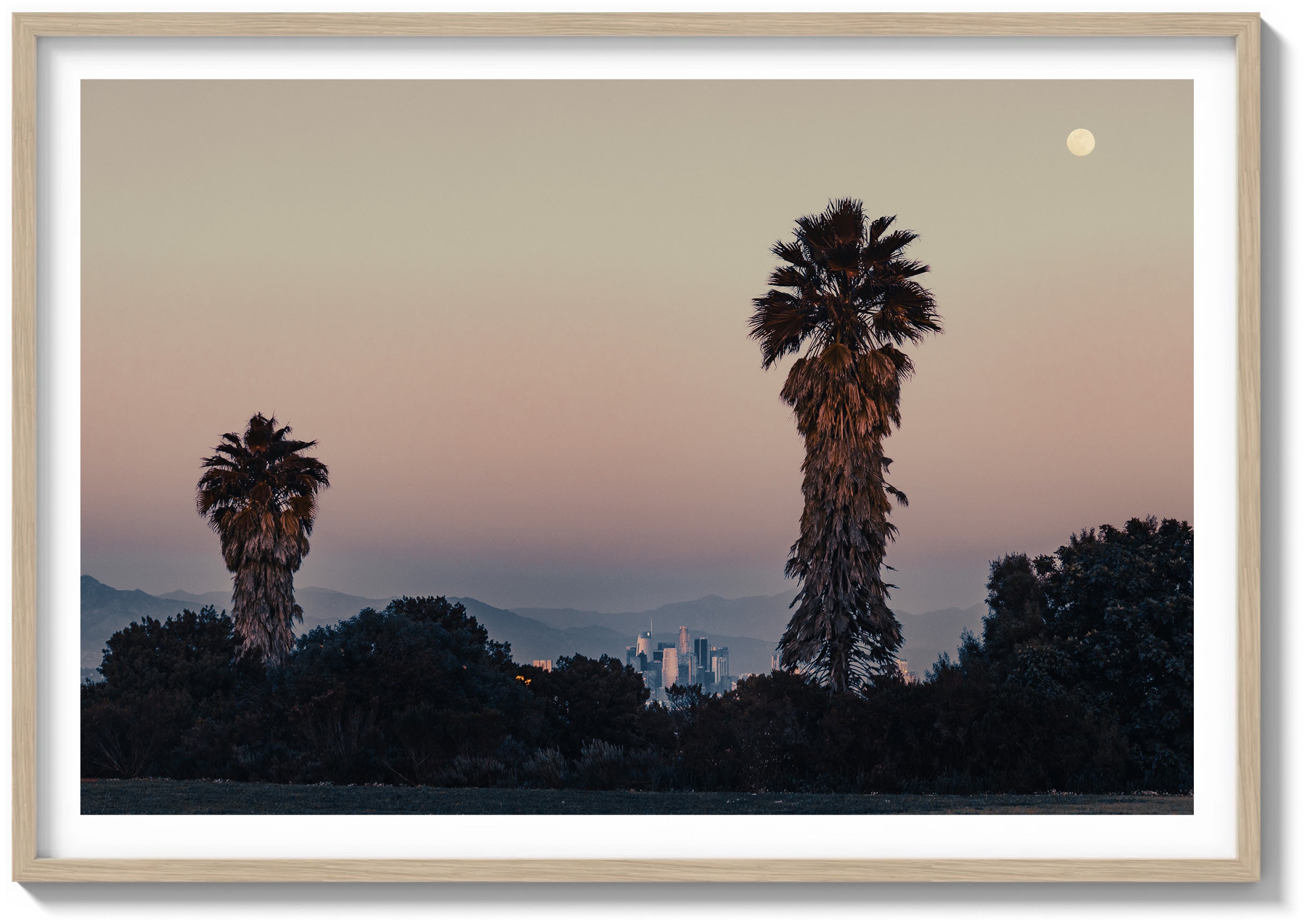 Park Palms