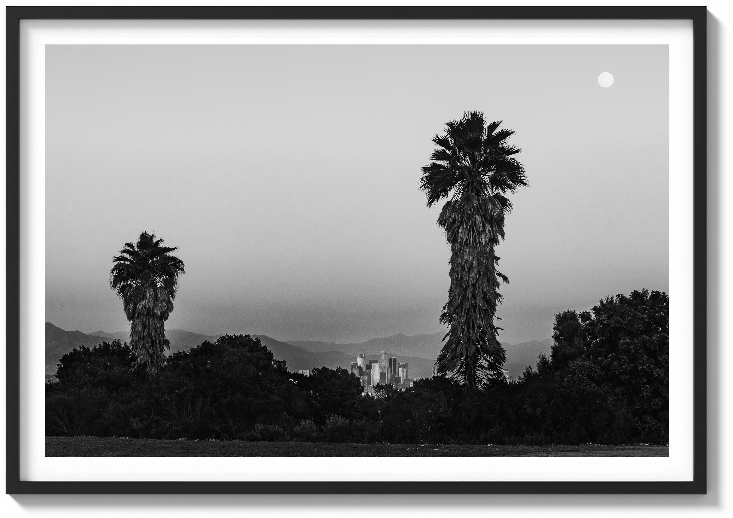Park Palms