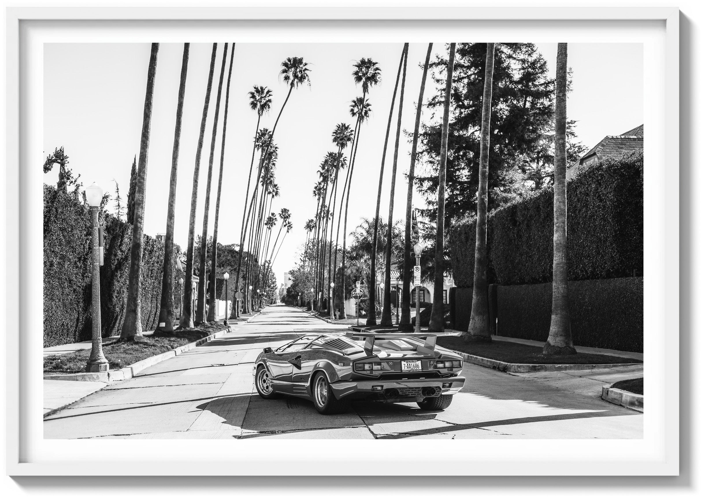 Beast of Beverly Hills
