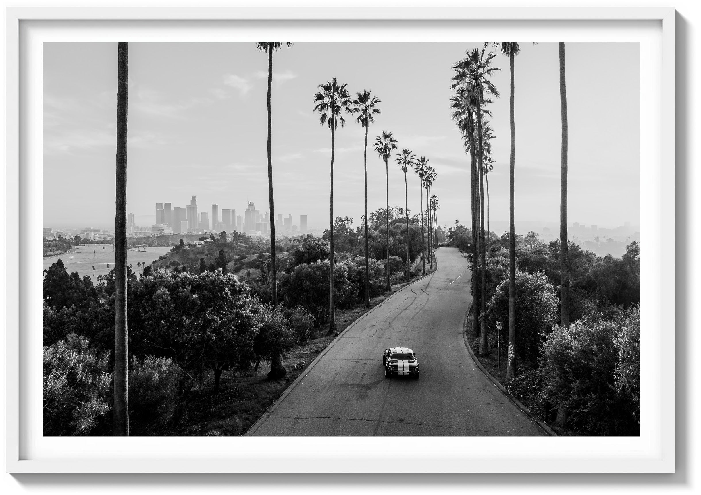 The tall palms rise in clean vertical lines, framing the road as it curves gently through dense, sunlit greenery. The artwork is rendered in black and white and displayed in a white wood frame.