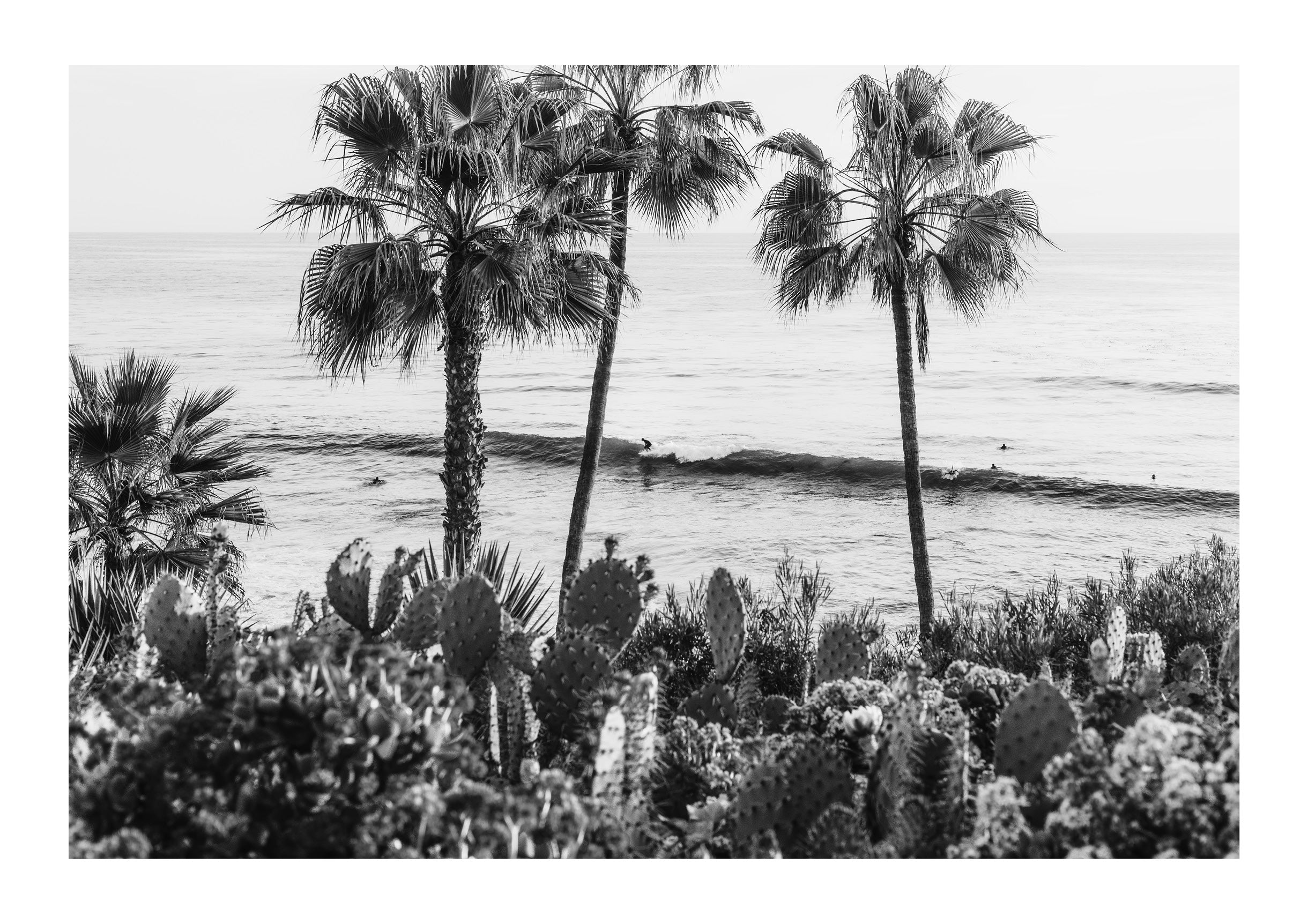 Laguna Layers