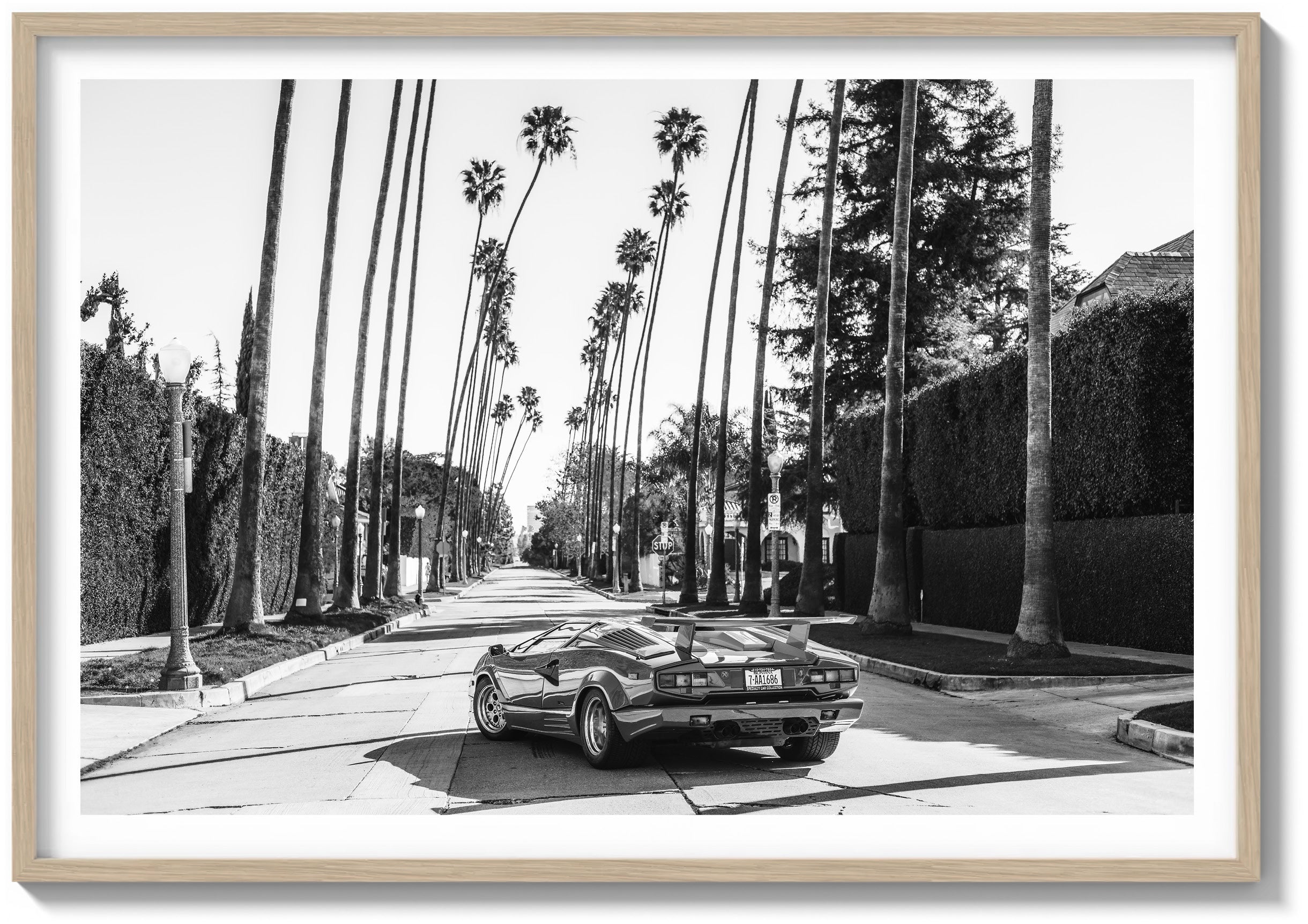 Beast of Beverly Hills