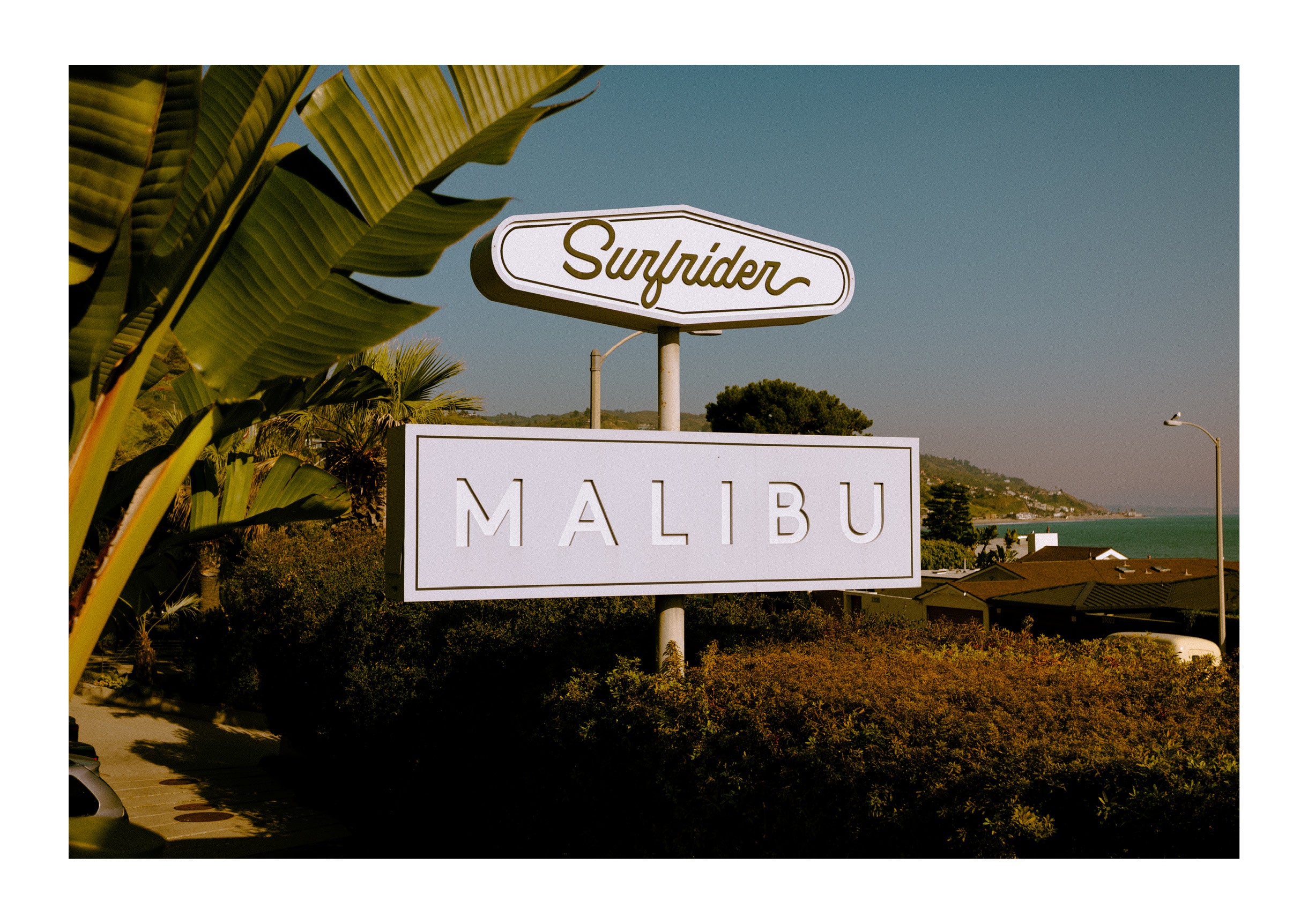 Surfrider