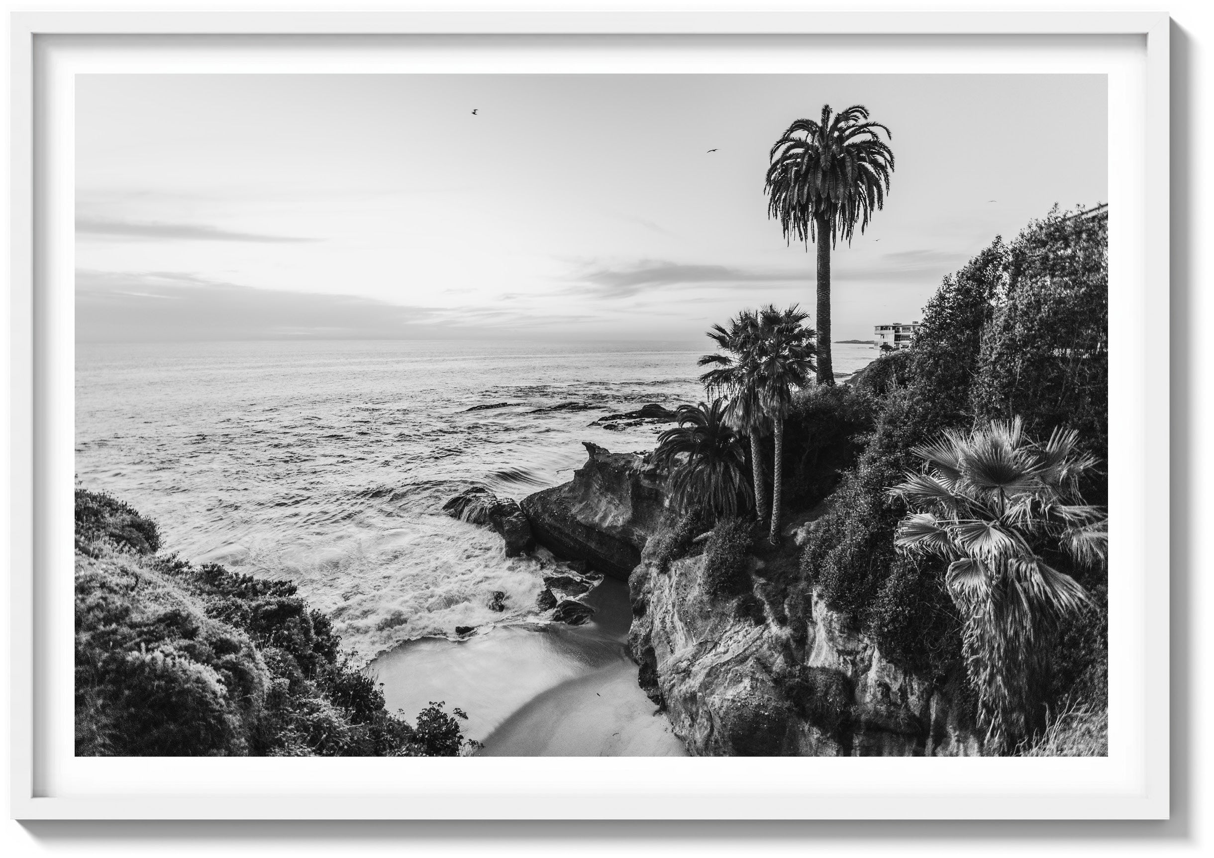 Secret Cove