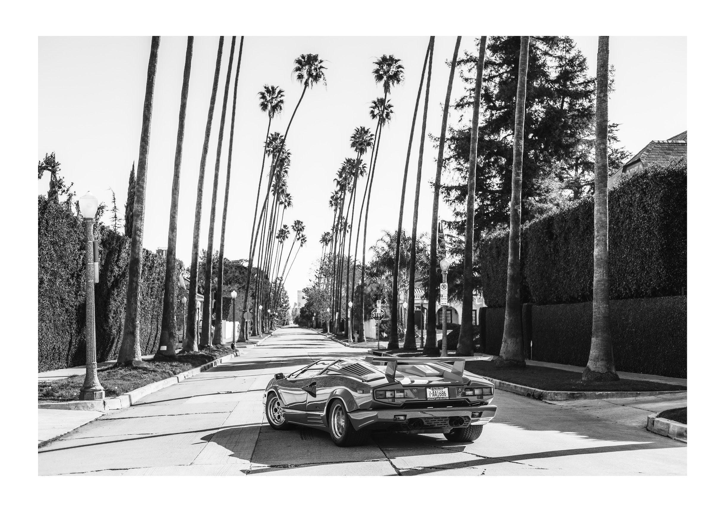 Beast of Beverly Hills