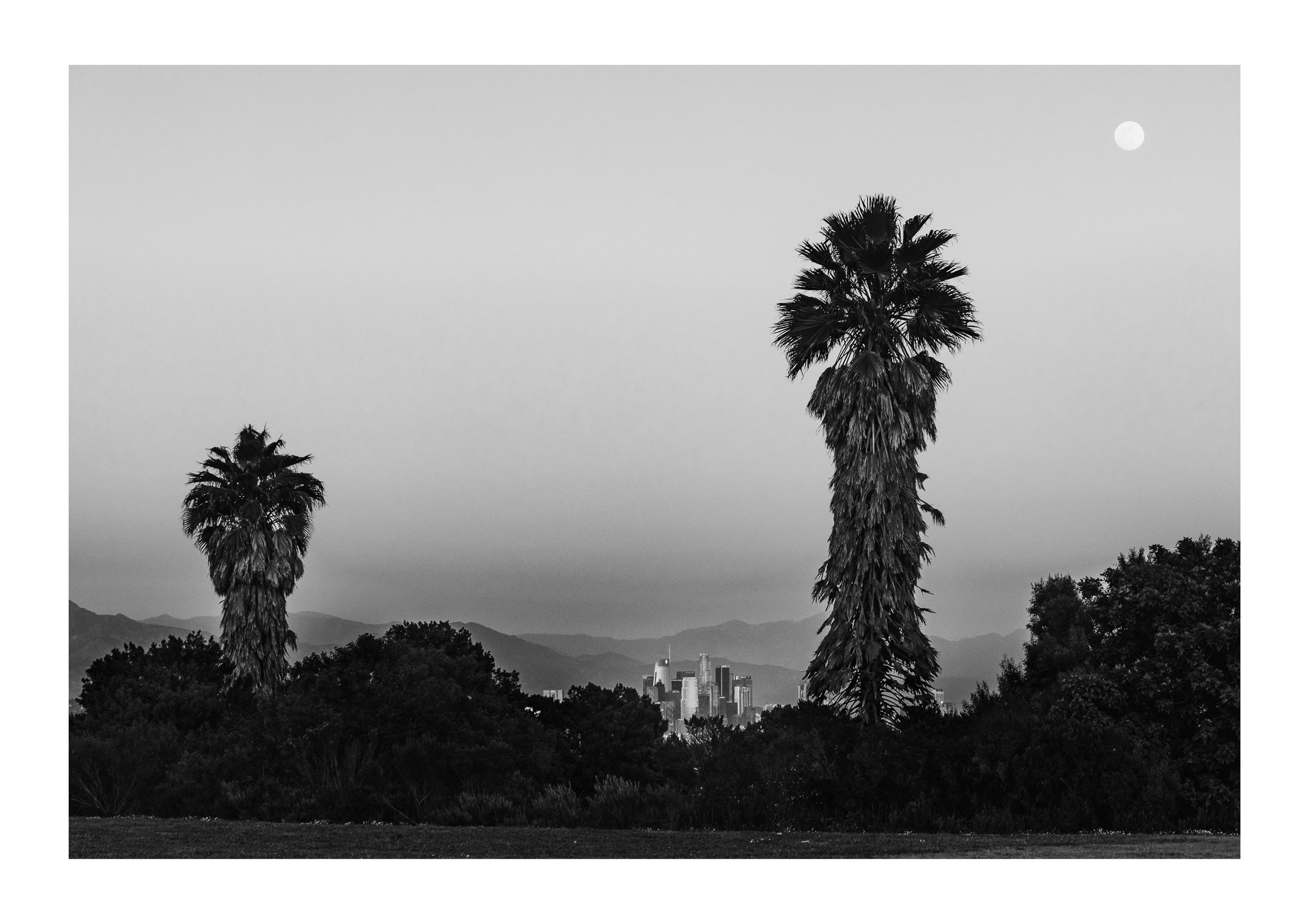 Park Palms
