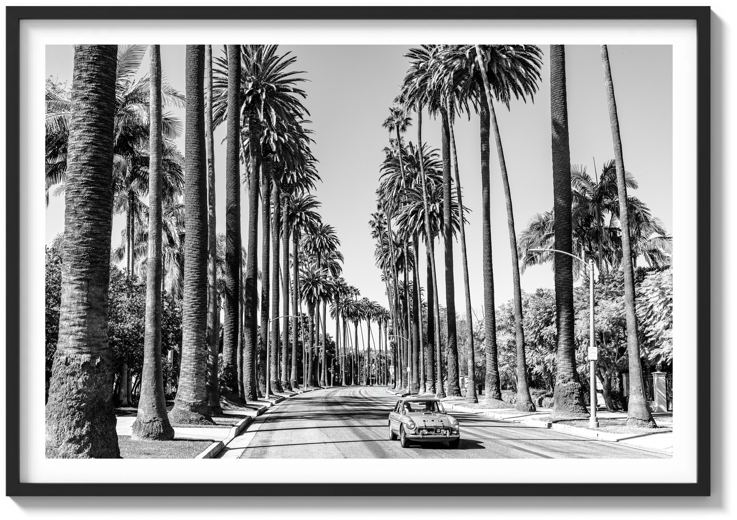 A Quiet Drive in Beverly Hills