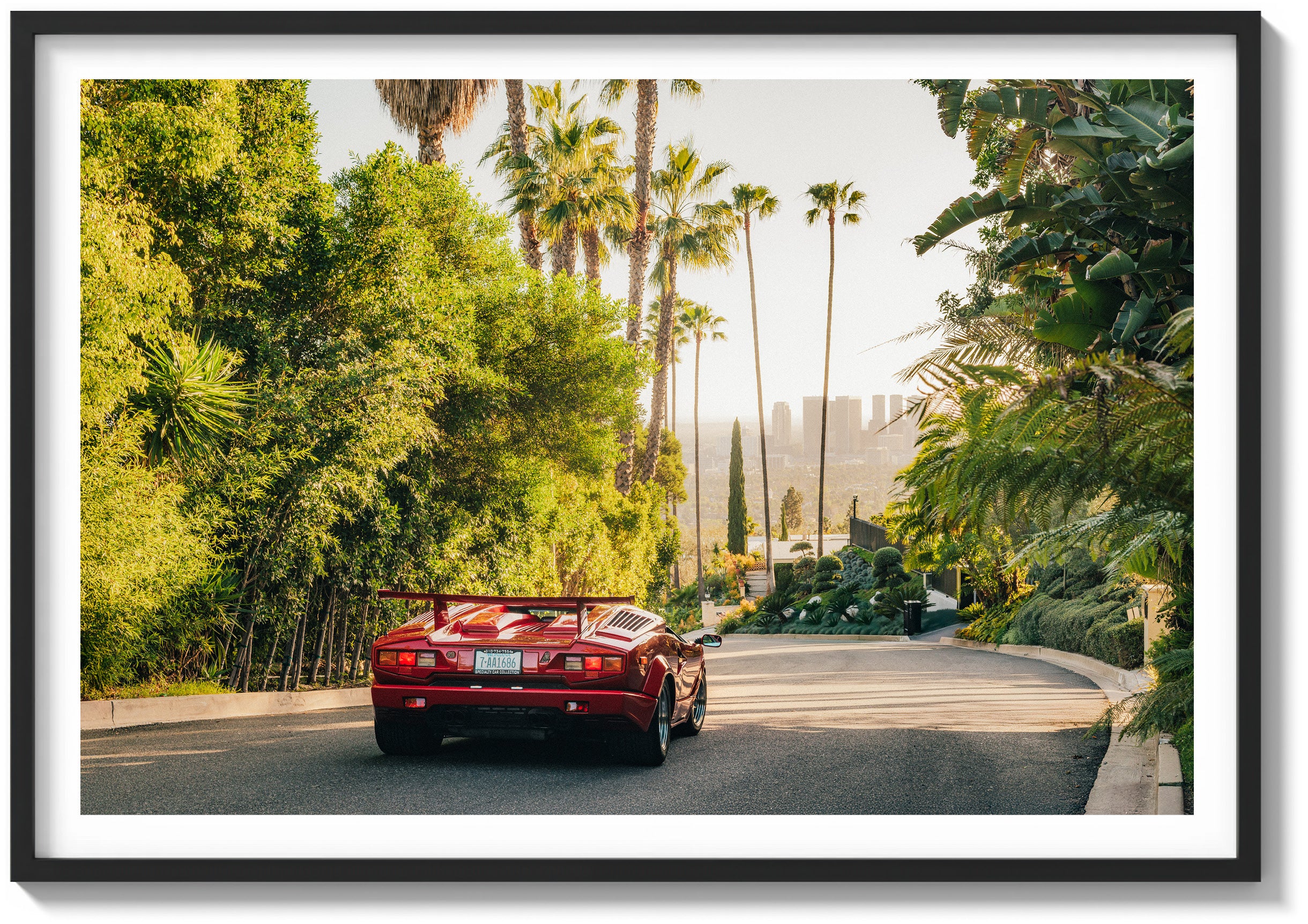 Countach in the Hills