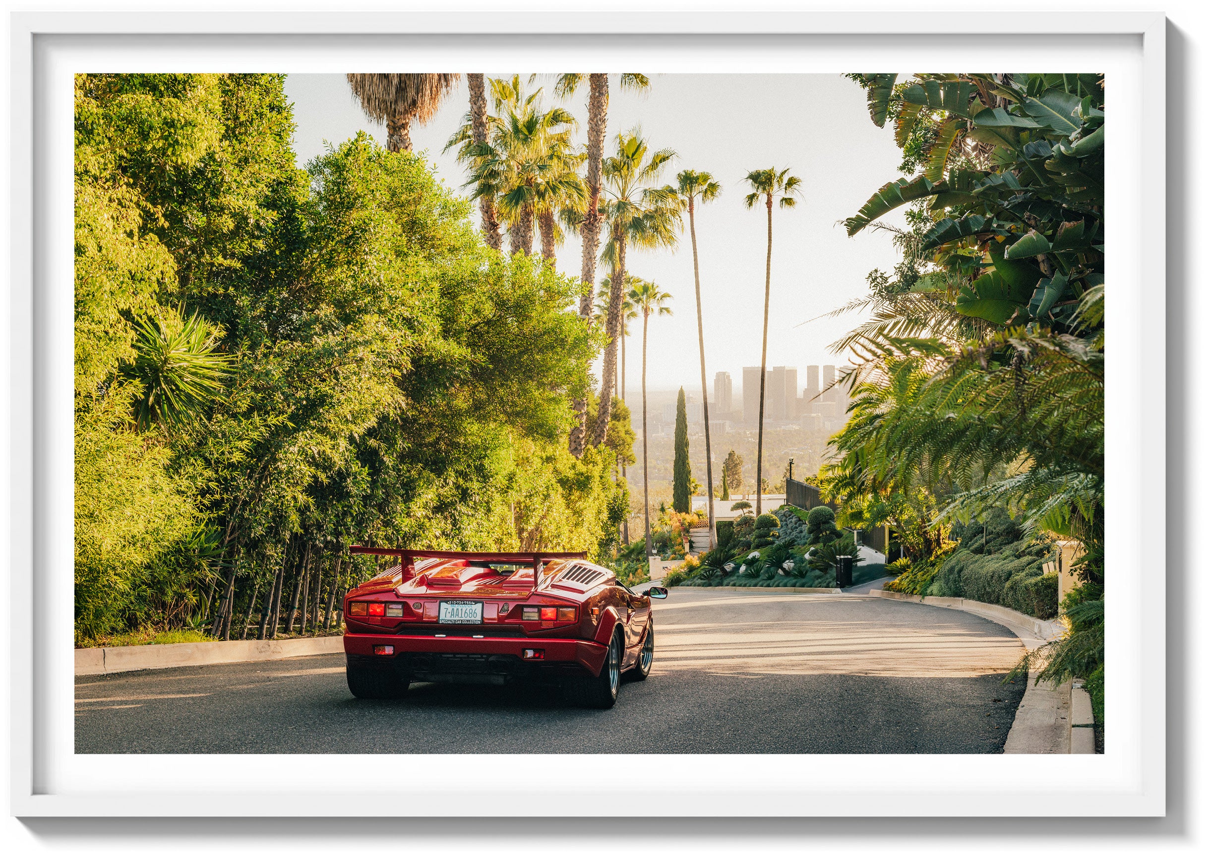 Countach in the Hills