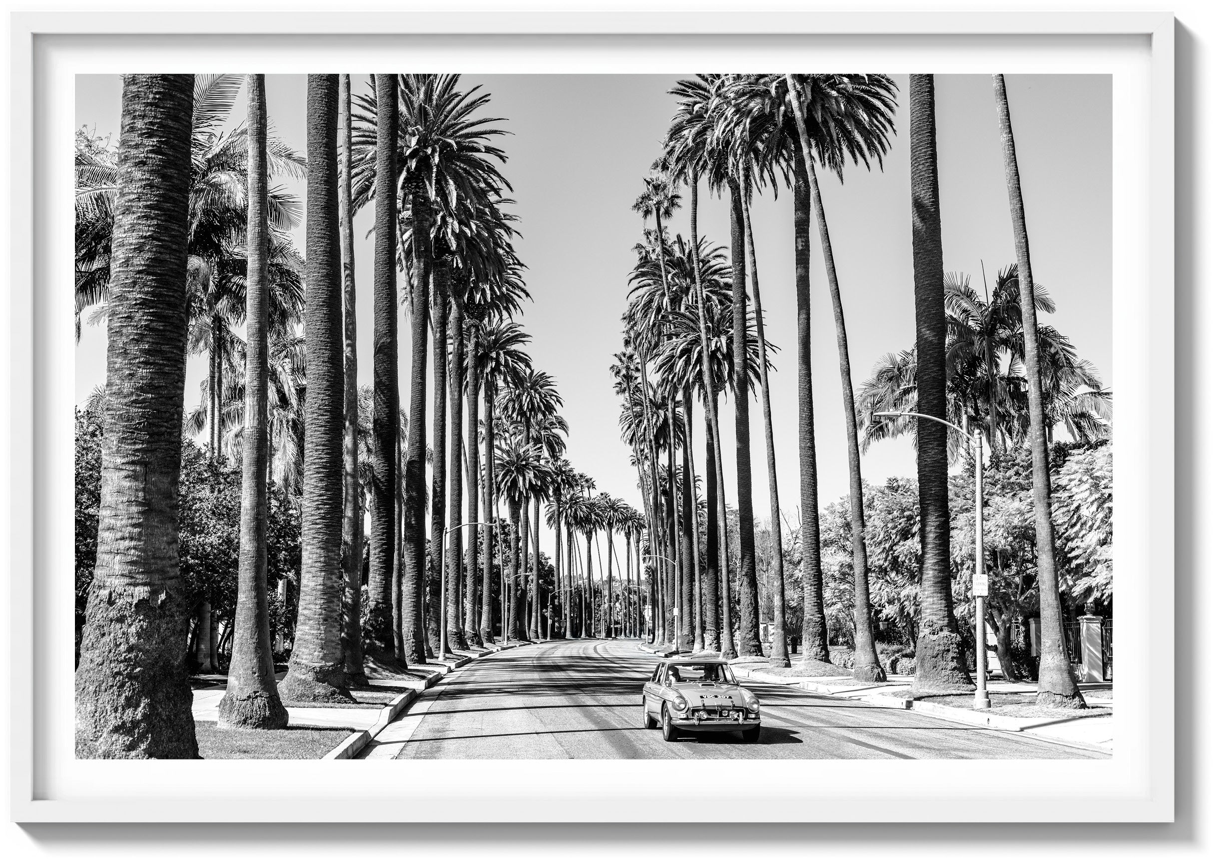 A Quiet Drive in Beverly Hills
