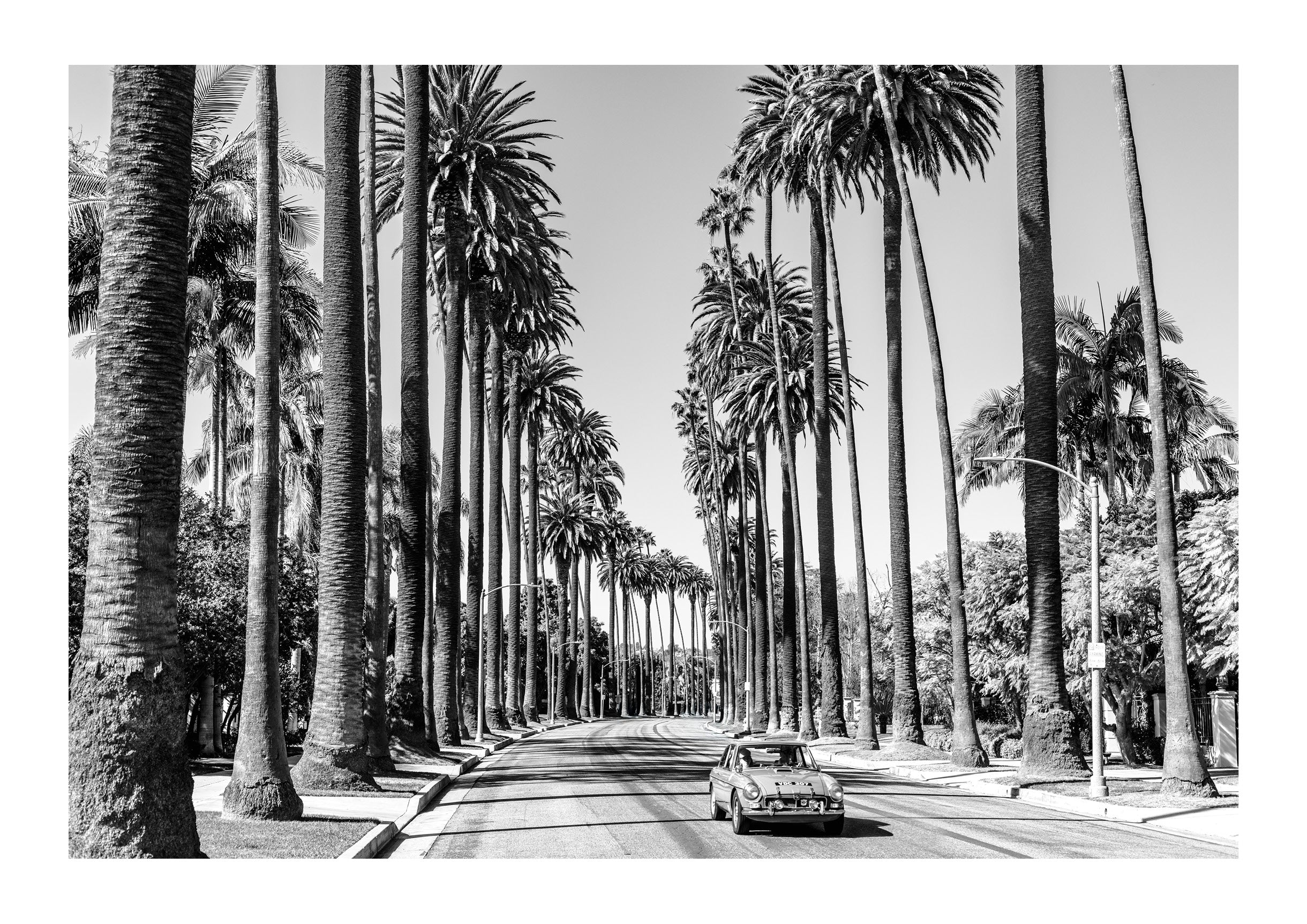 A Quiet Drive in Beverly Hills
